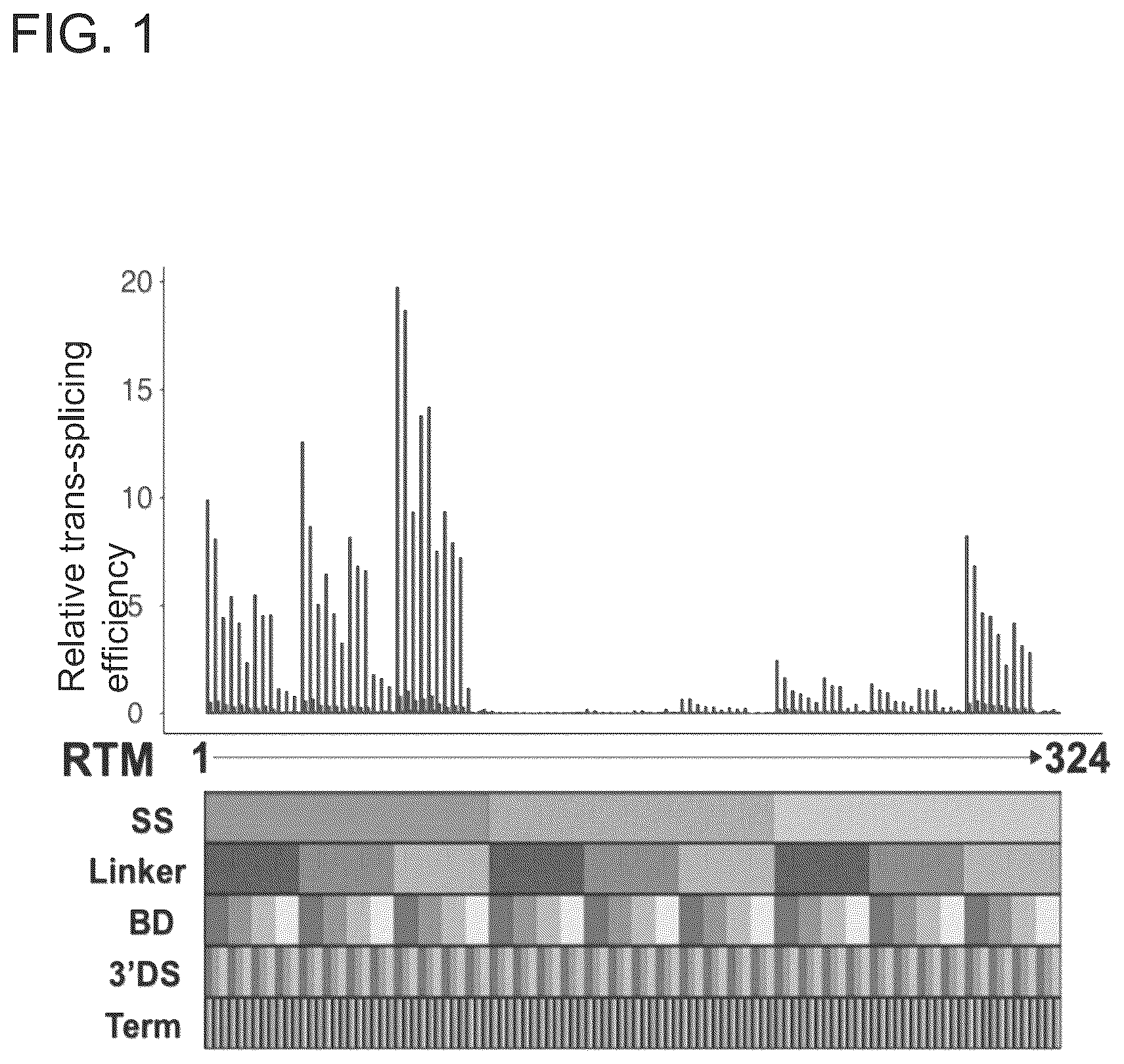 Patent US12410440 Figure 1 – ABCA4 trans-splicing molecules
