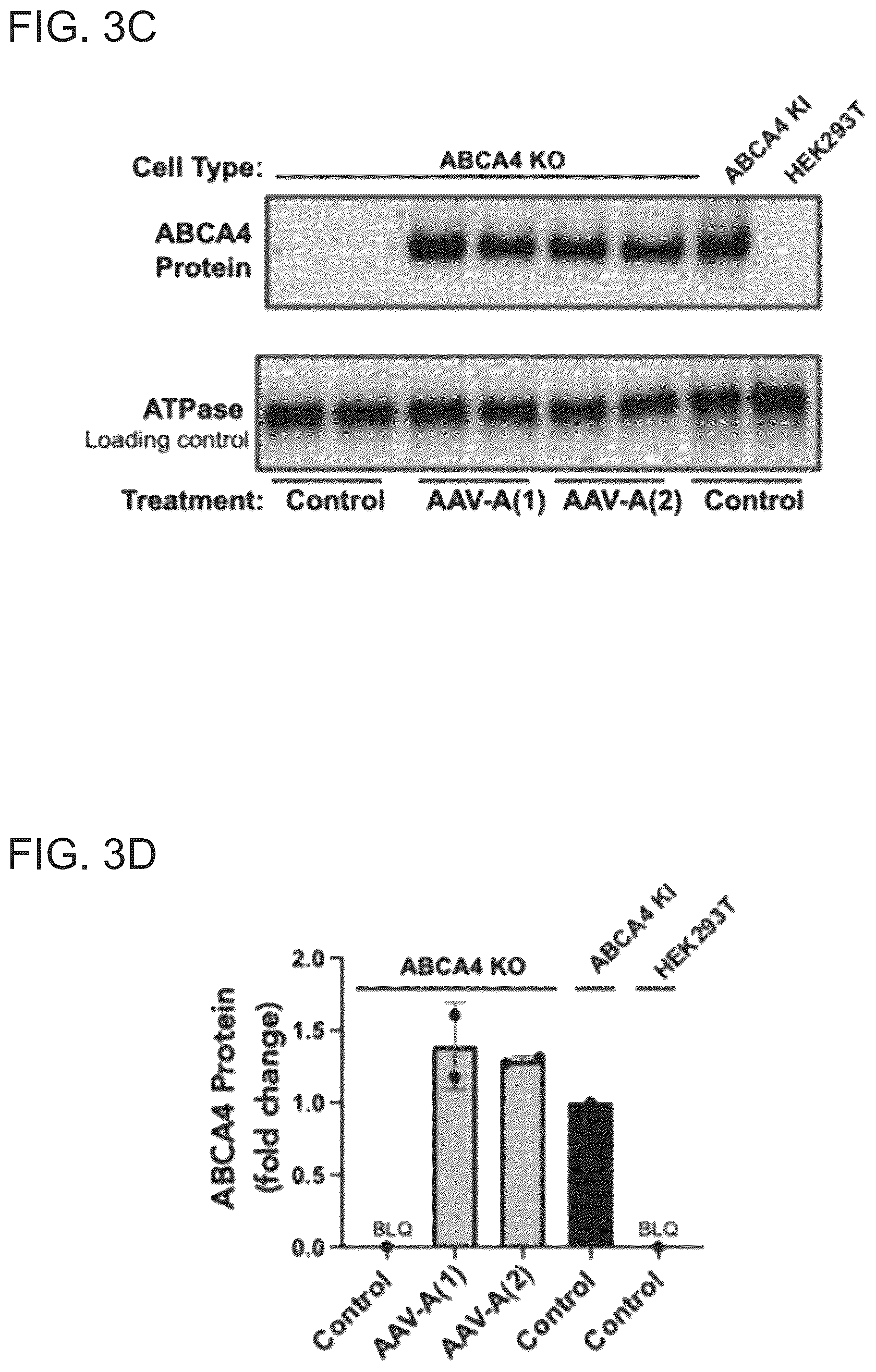 Patent US12410440 Figure 4 – ABCA4 trans-splicing molecules