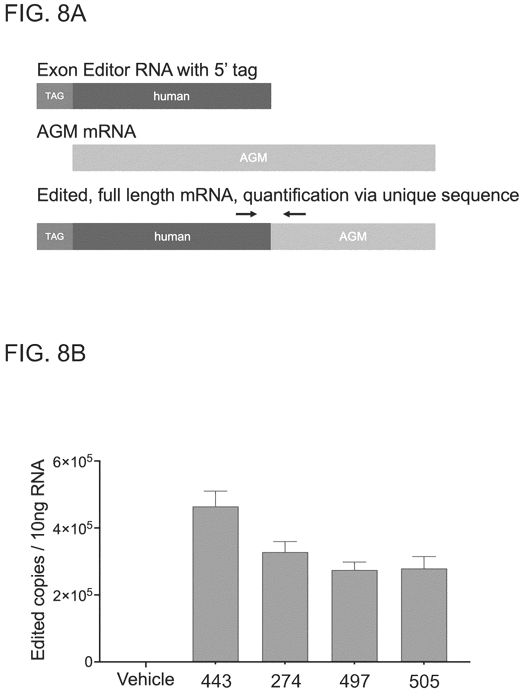 Patent US12410440 Figure 9 – ABCA4 trans-splicing molecules