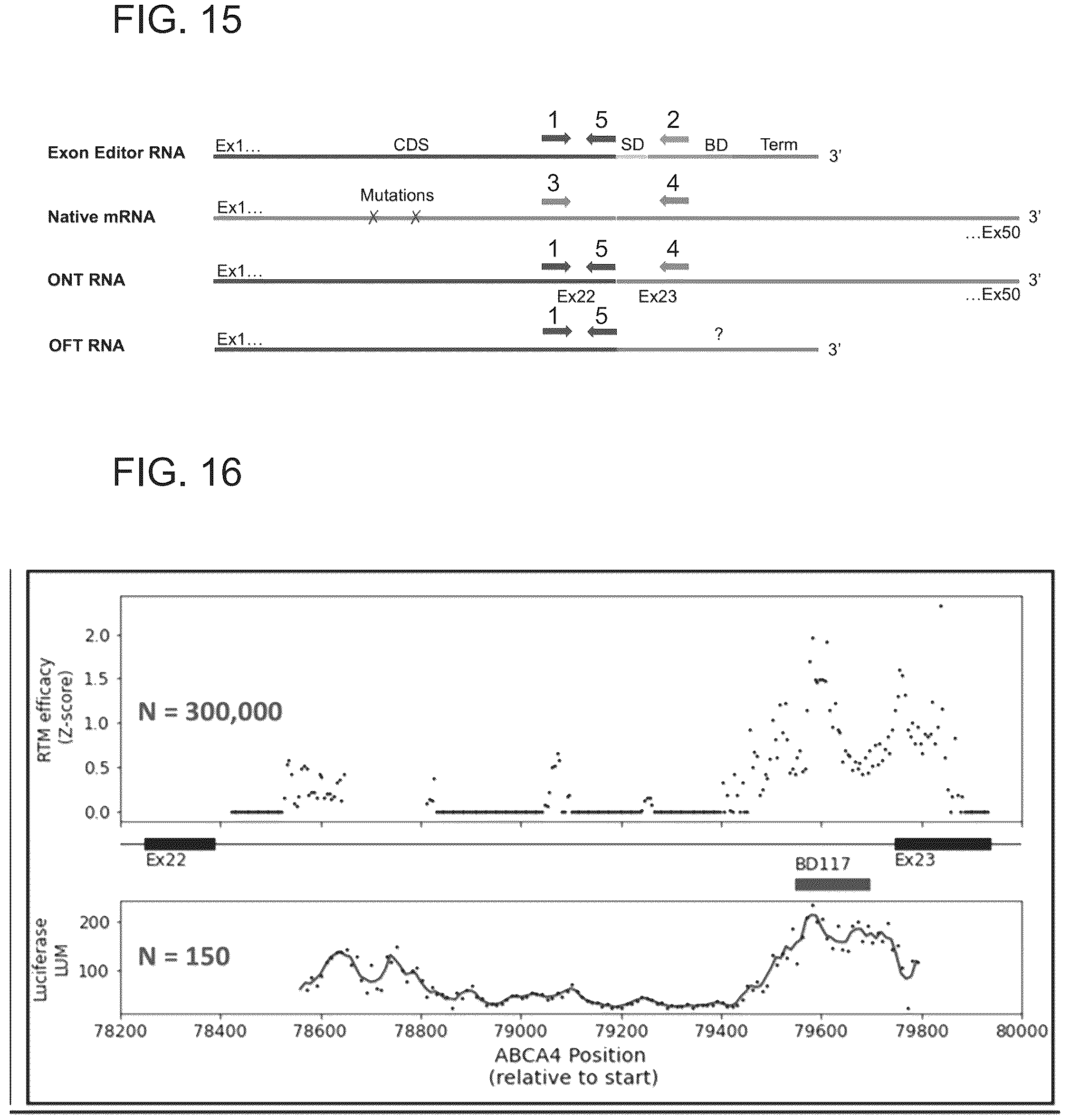 Patent US12410440 Figure 18 – ABCA4 trans-splicing molecules