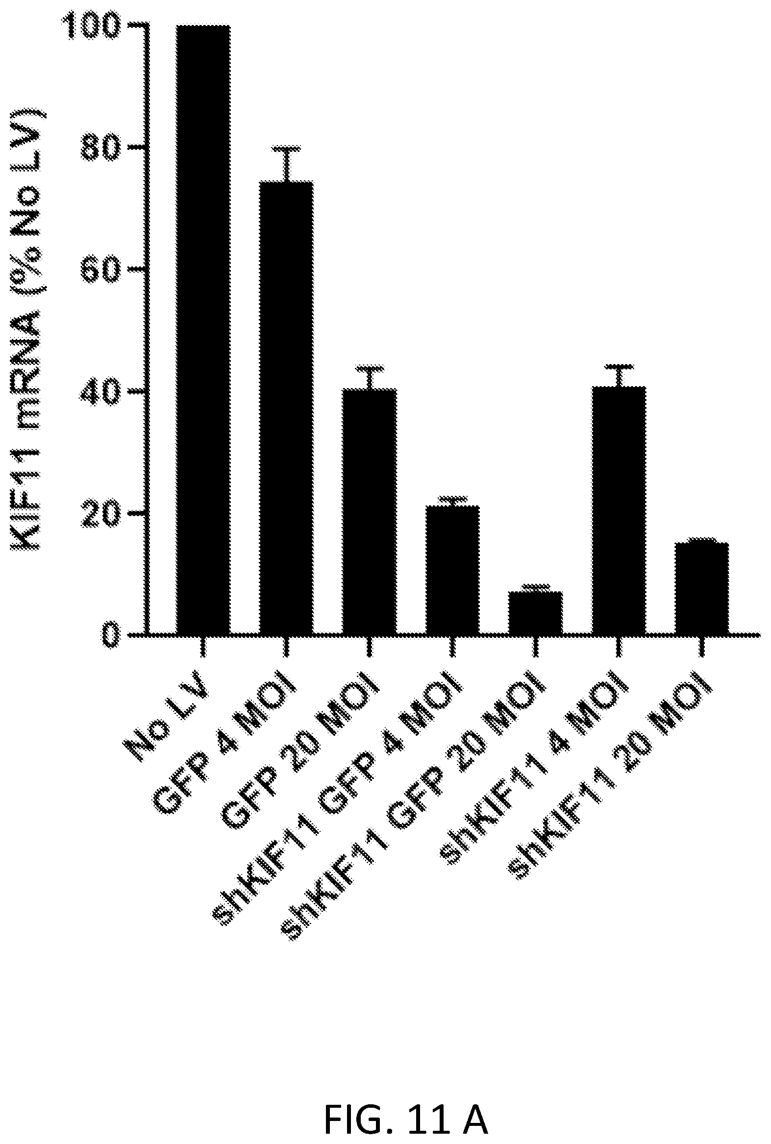 Patent US12410445 Figure 11 – Vector system for expressing regulatory RNA