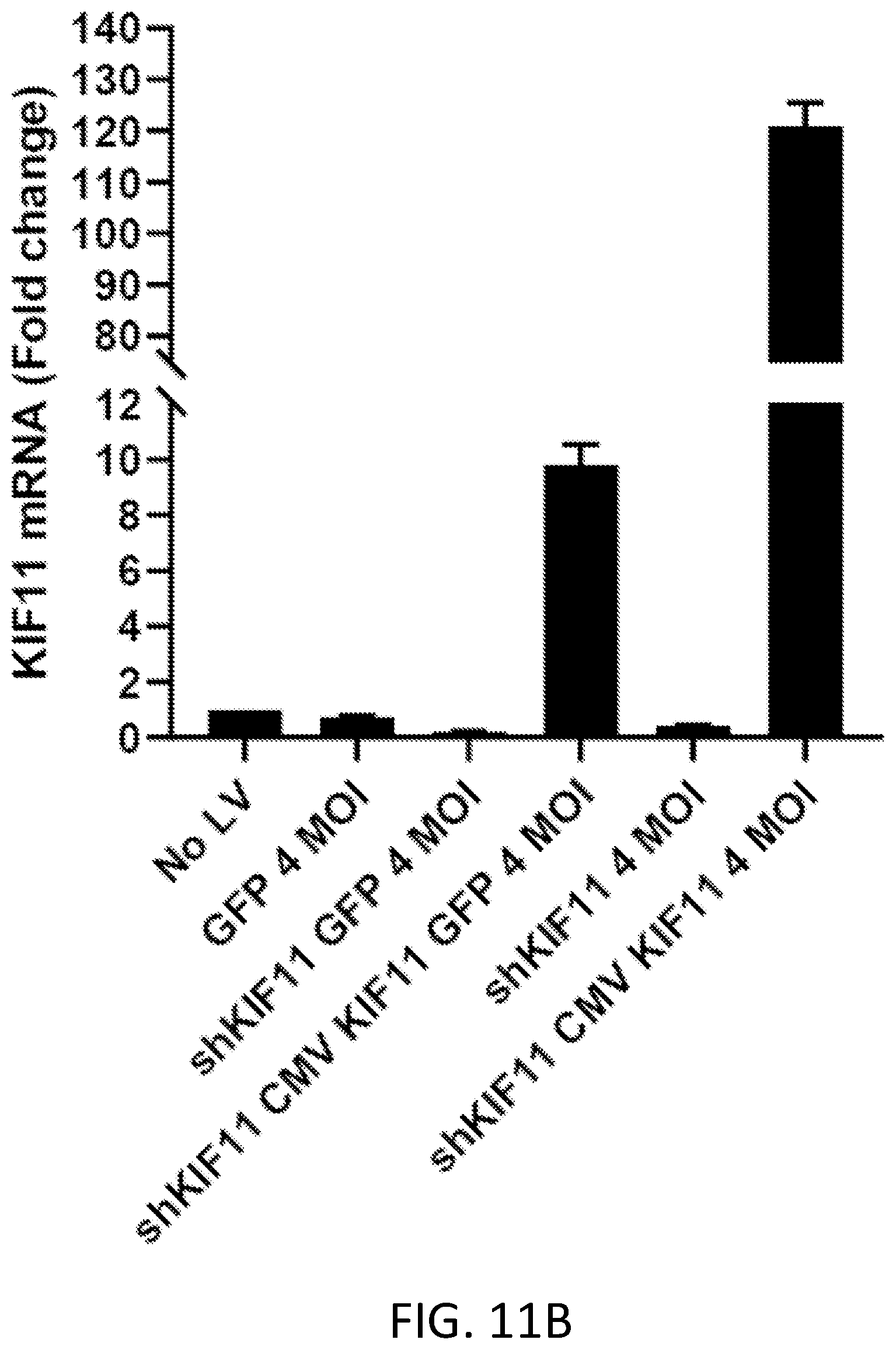 Patent US12410445 Figure 12 – Vector system for expressing regulatory RNA