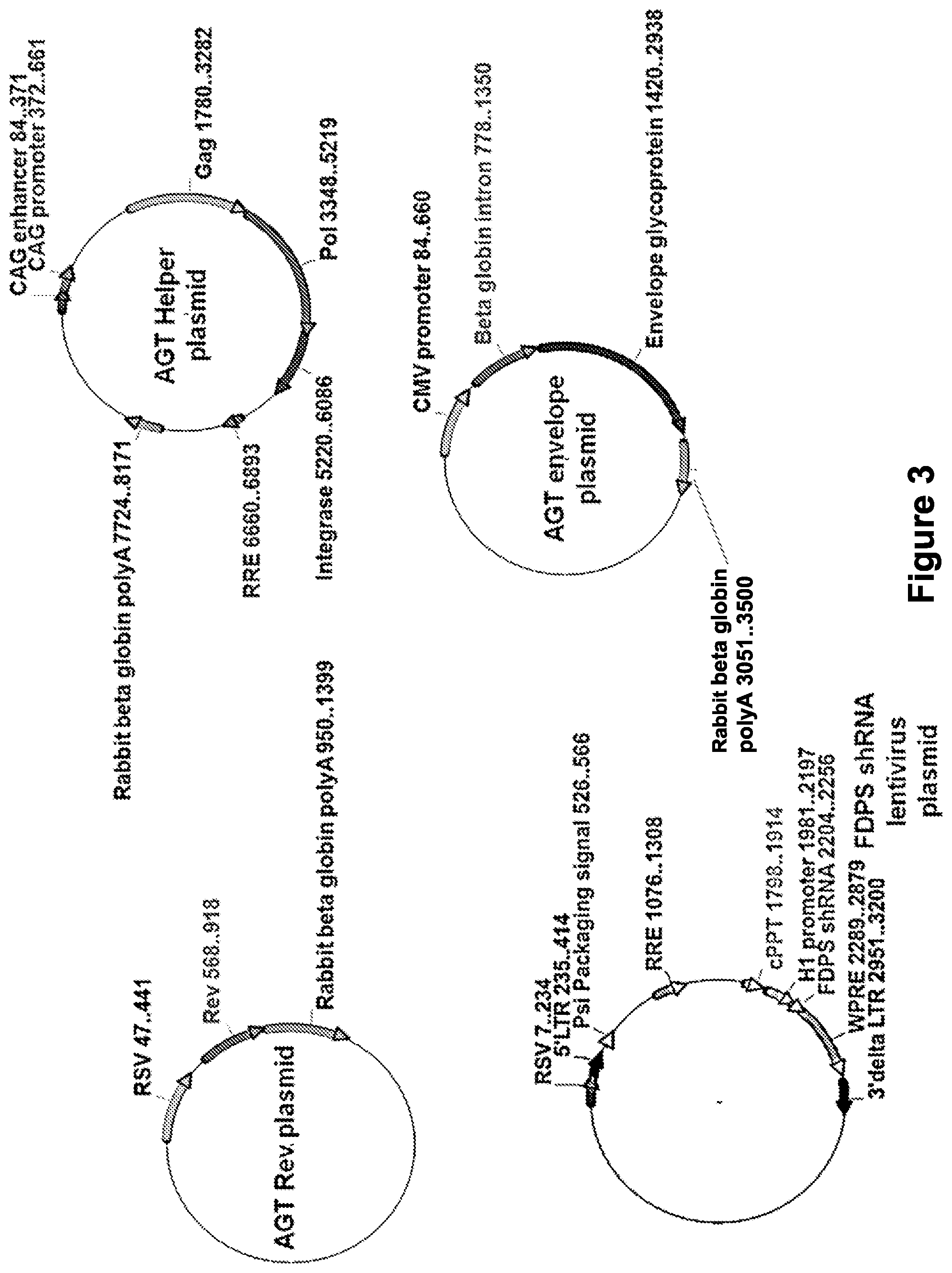Patent US12410446 Figure 3 – Methods and compositions for the activation of gamma-delta T-cells