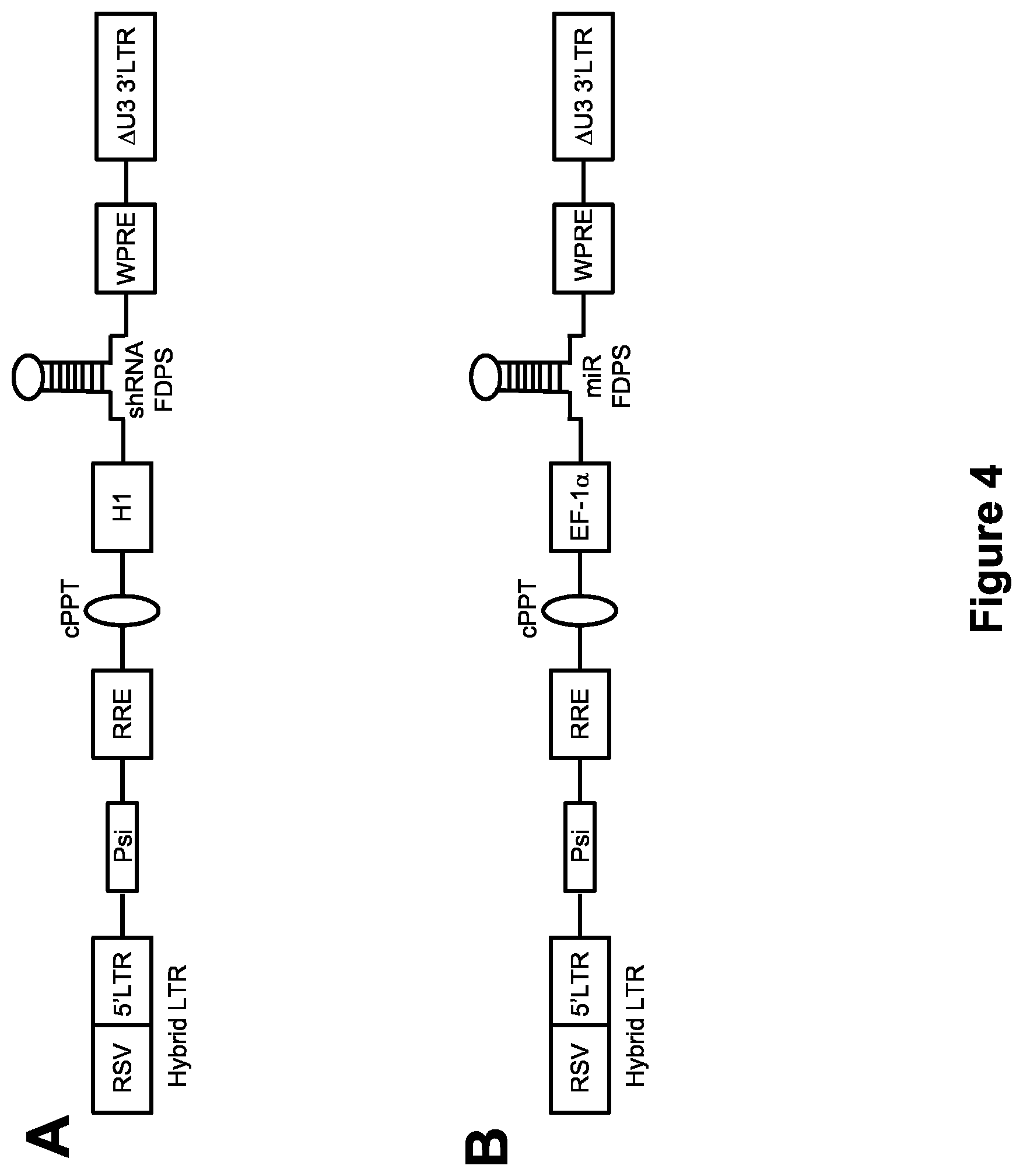 Patent US12410446 Figure 4 – Methods and compositions for the activation of gamma-delta T-cells