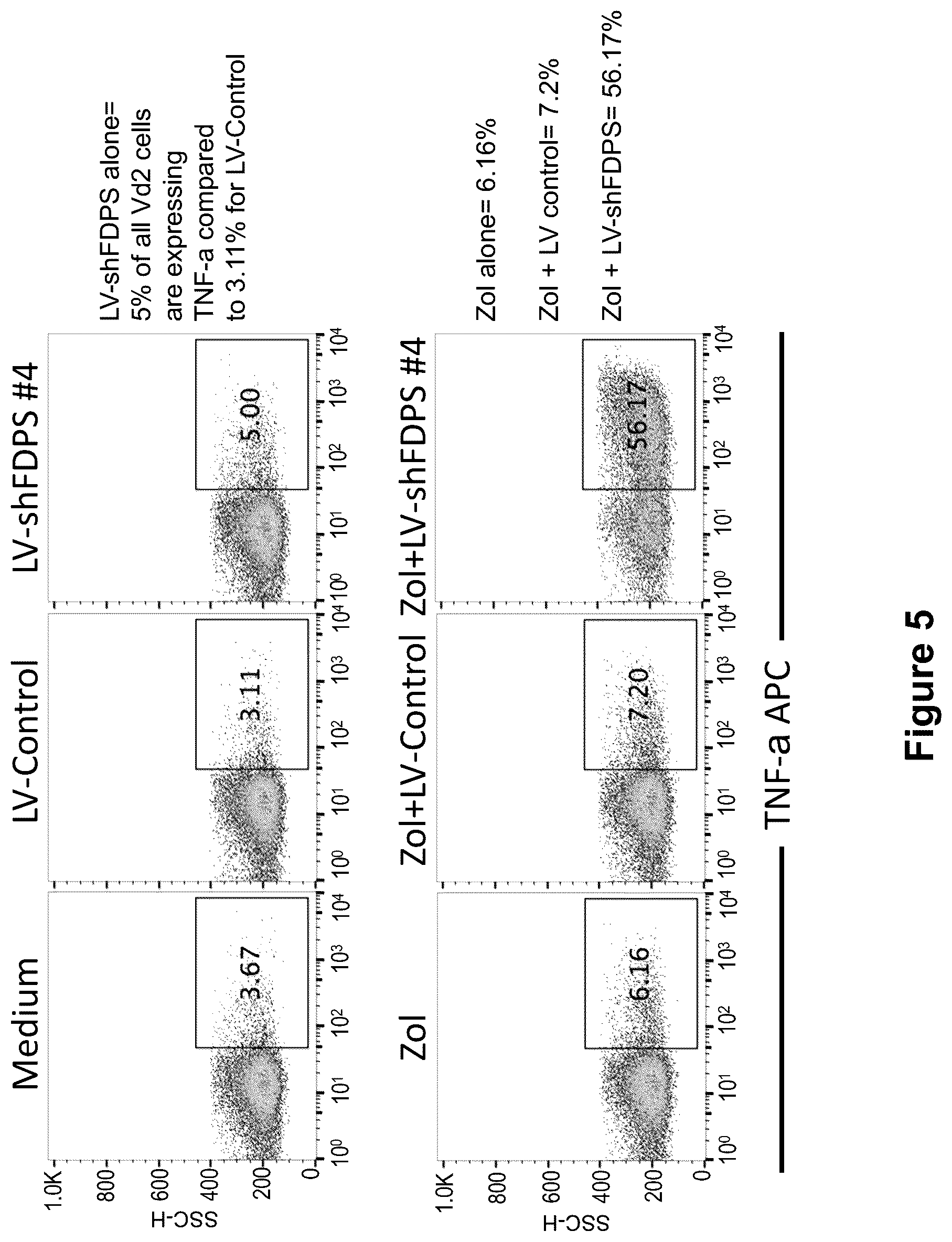 Patent US12410446 Figure 5 – Methods and compositions for the activation of gamma-delta T-cells