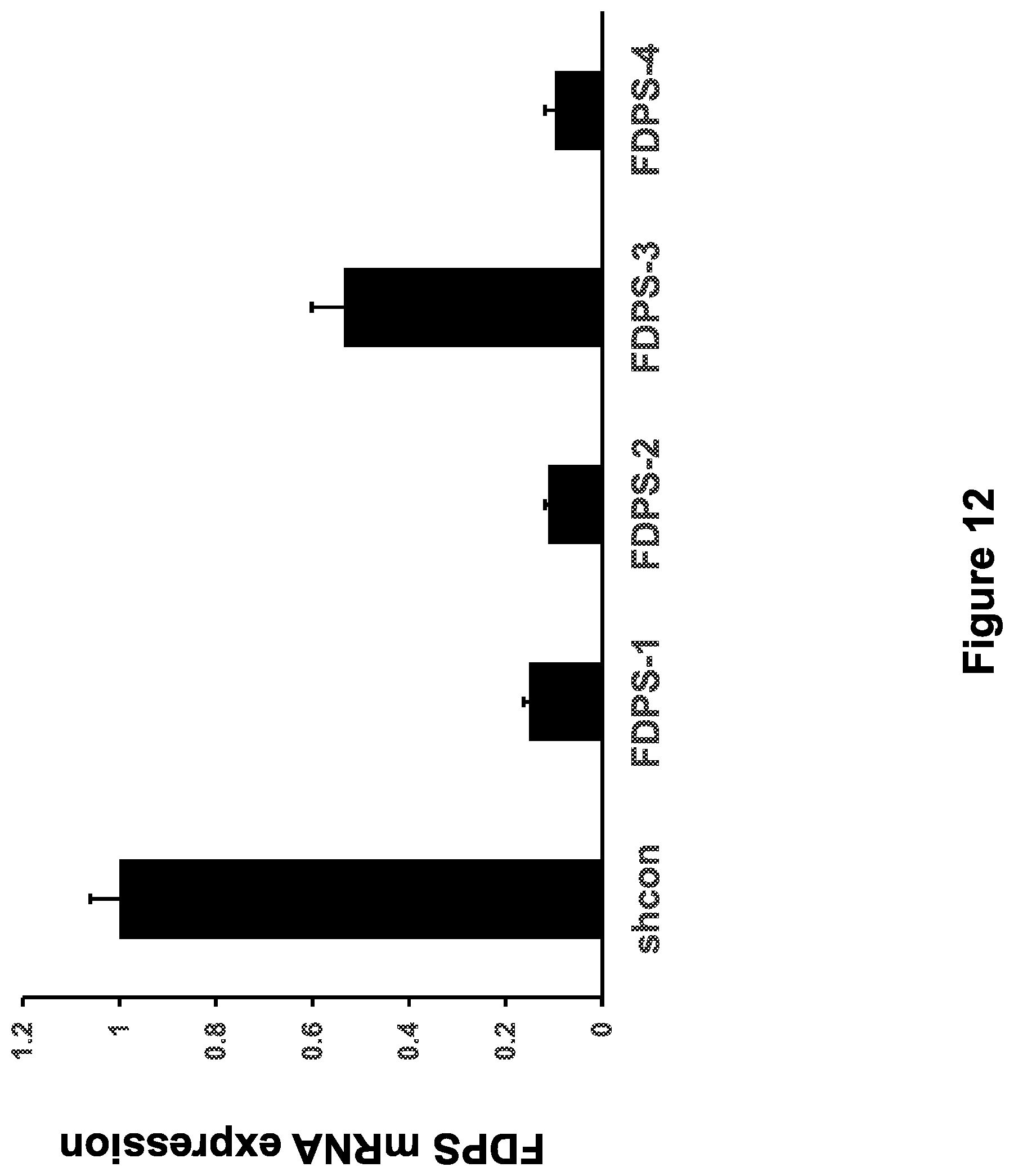 Patent US12410446 Figure 12 – Methods and compositions for the activation of gamma-delta T-cells