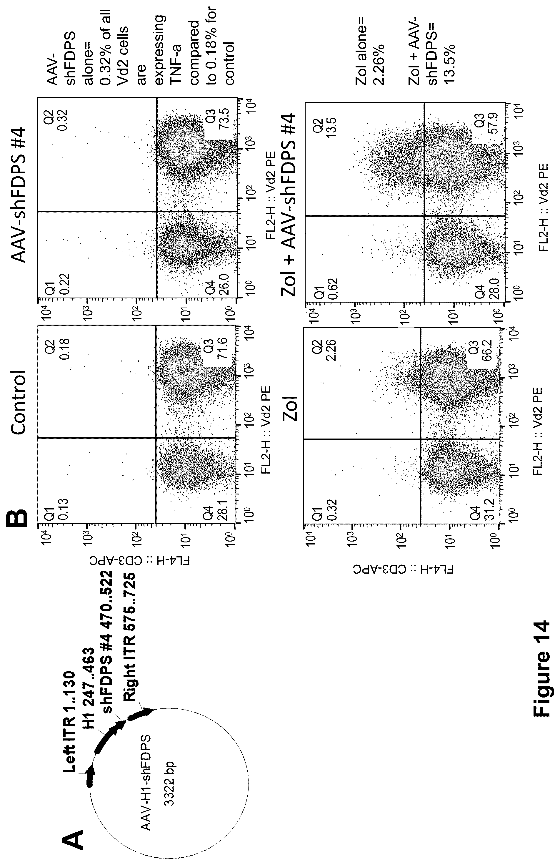 Patent US12410446 Figure 14 – Methods and compositions for the activation of gamma-delta T-cells
