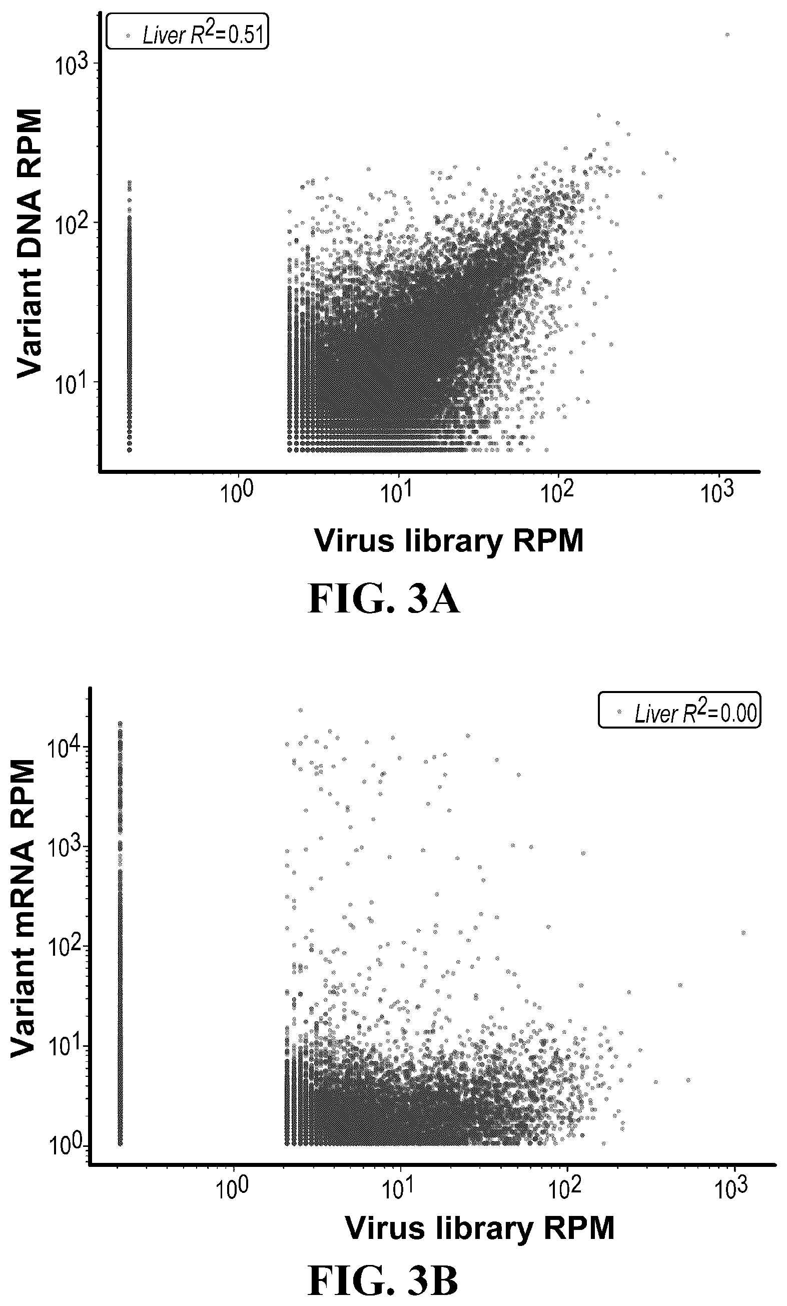Patent US12410447 Figure 3 – Engineered muscle targeting compositions