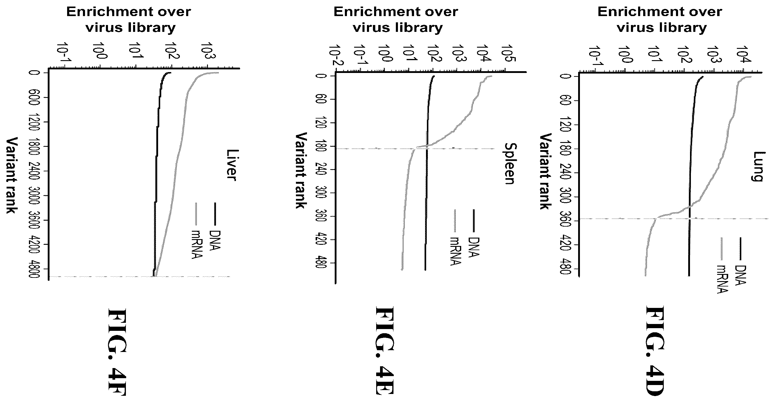 Patent US12410447 Figure 5 – Engineered muscle targeting compositions