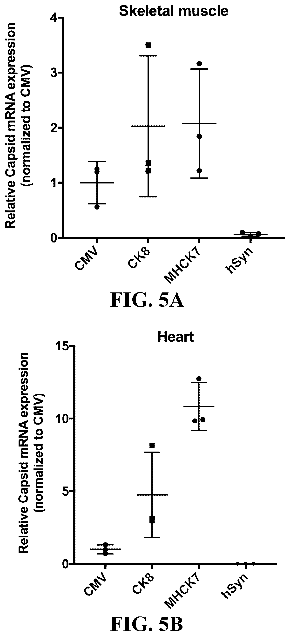 Patent US12410447 Figure 6 – Engineered muscle targeting compositions