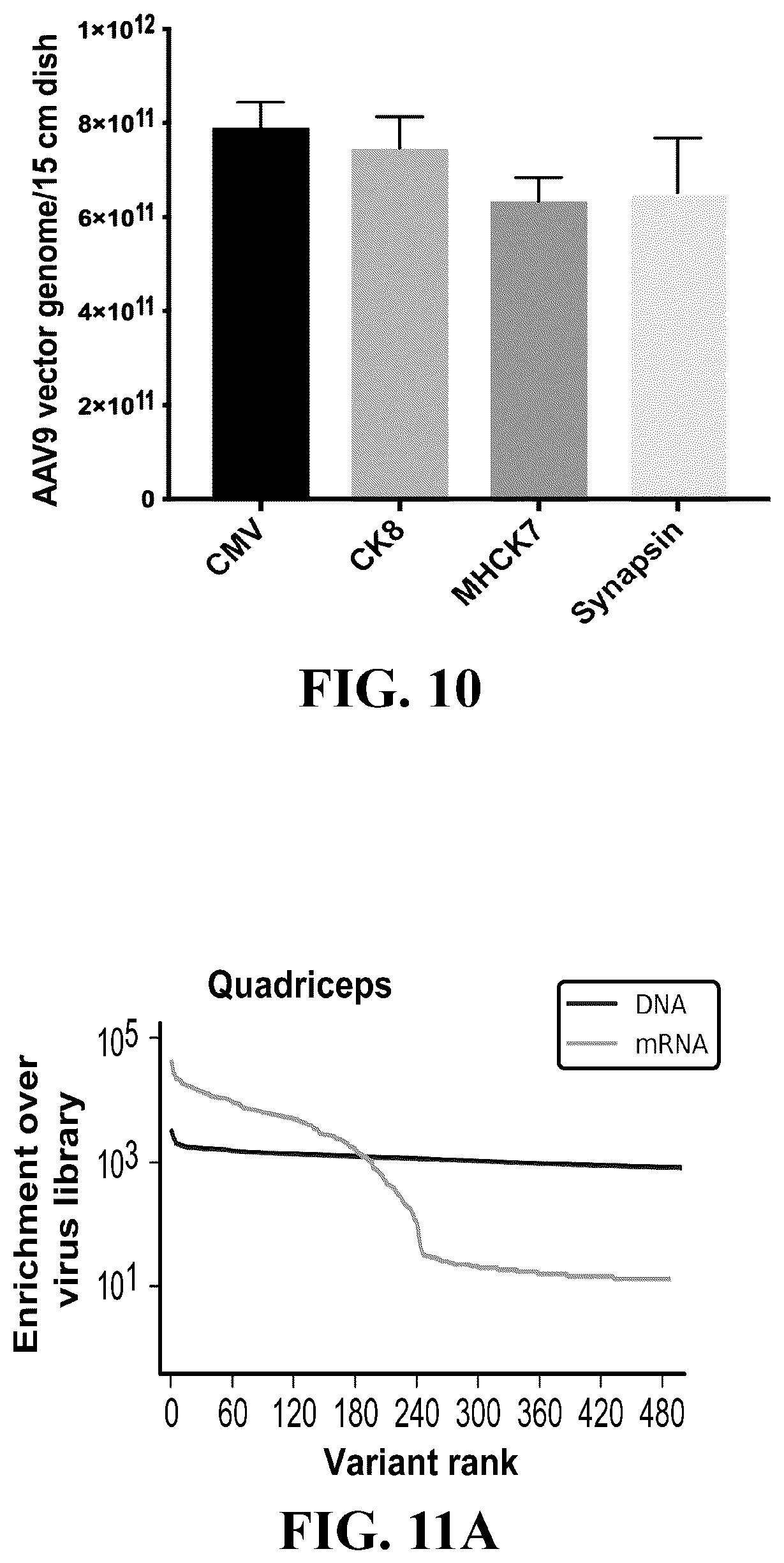 Patent US12410447 Figure 12 – Engineered muscle targeting compositions