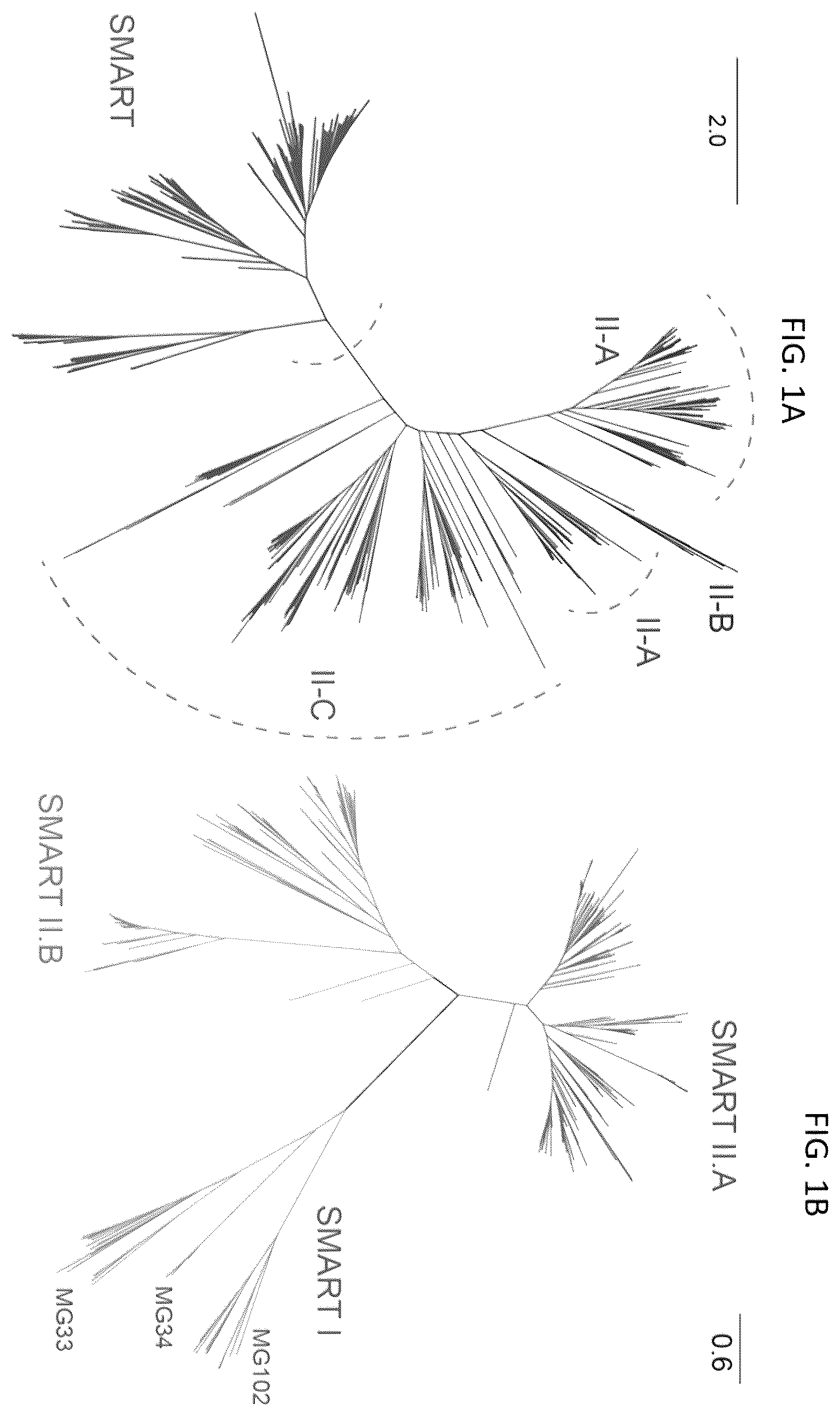 Patent US12410449 — Endonuclease systems — Figure 1