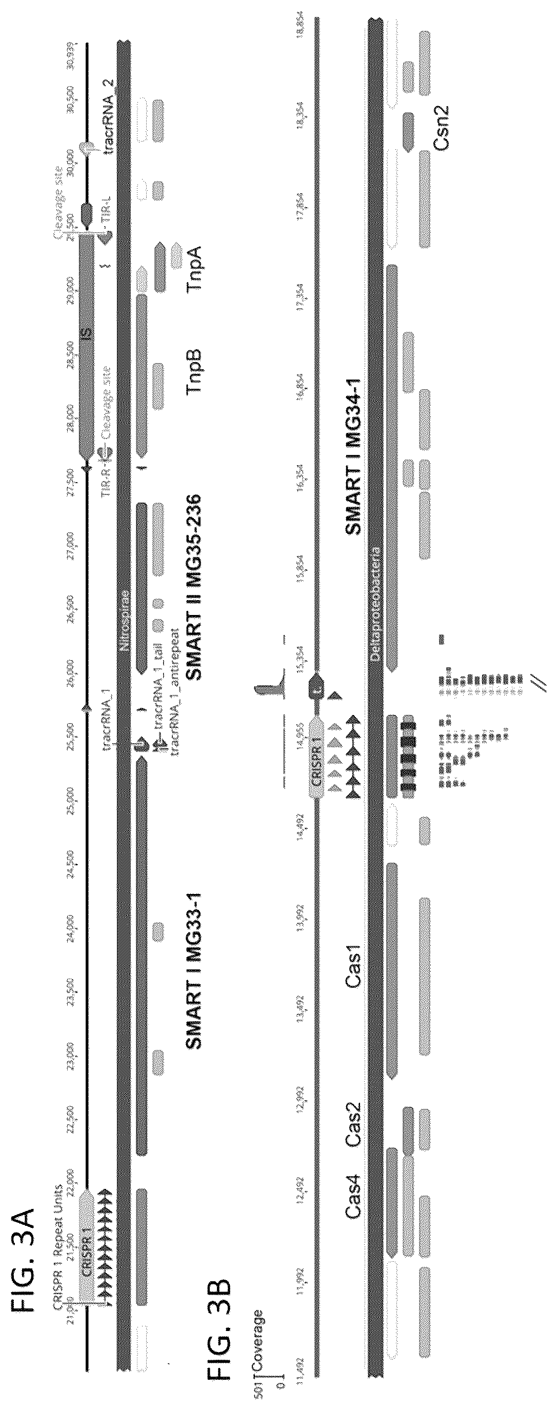 Patent US12410449 Figure 3 – Endonuclease systems