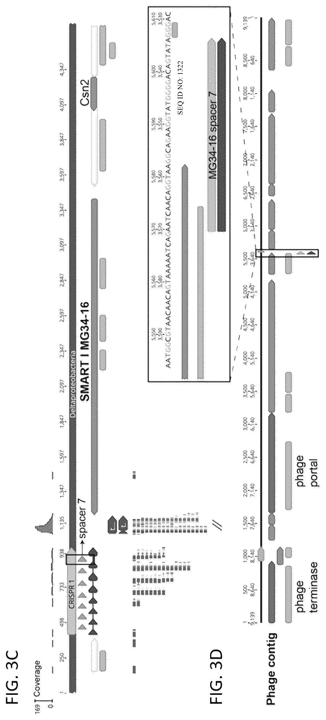 Patent US12410449 Figure 4 – Endonuclease systems