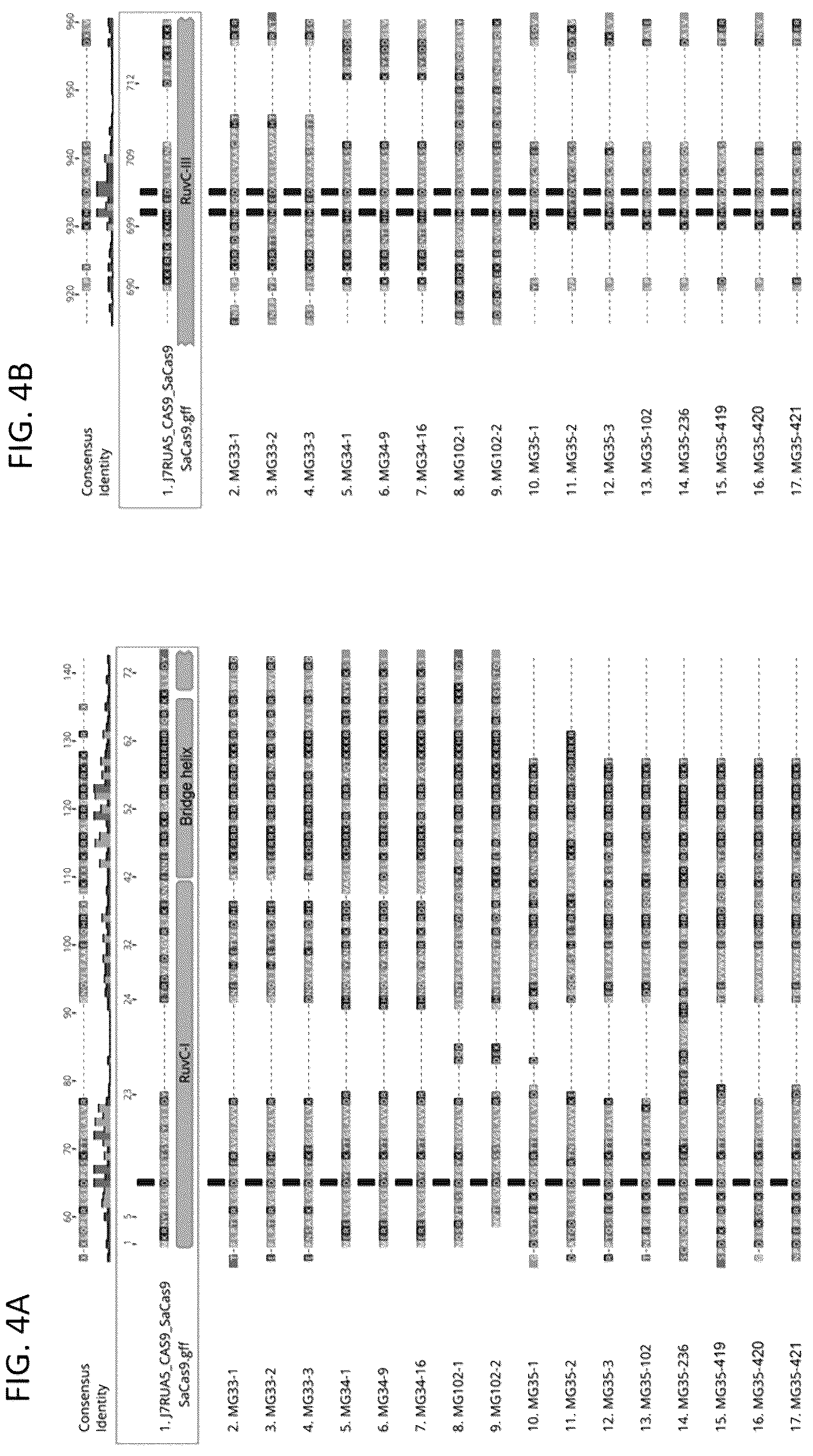 Patent US12410449 Figure 5 – Endonuclease systems