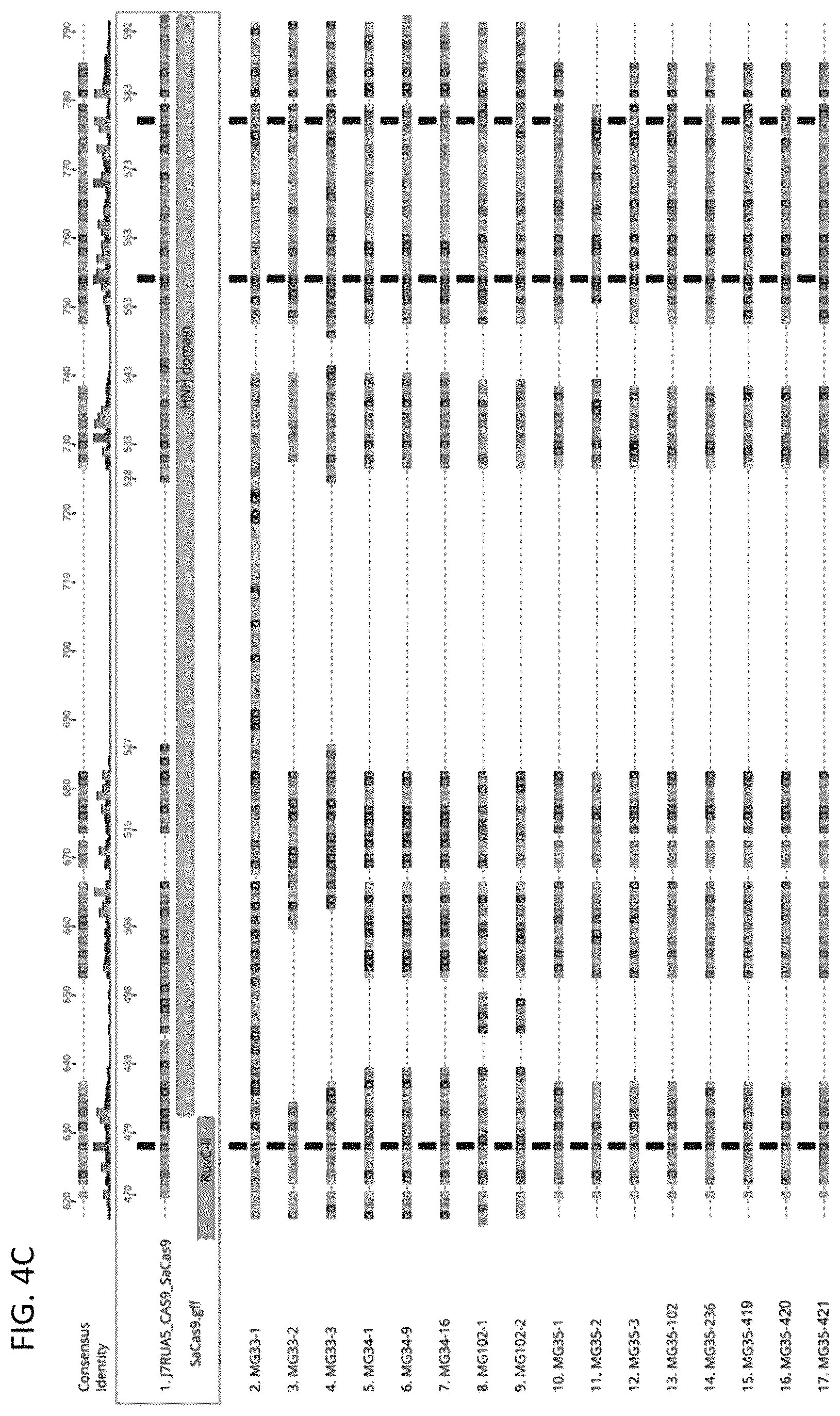 Patent US12410449 Figure 6 – Endonuclease systems