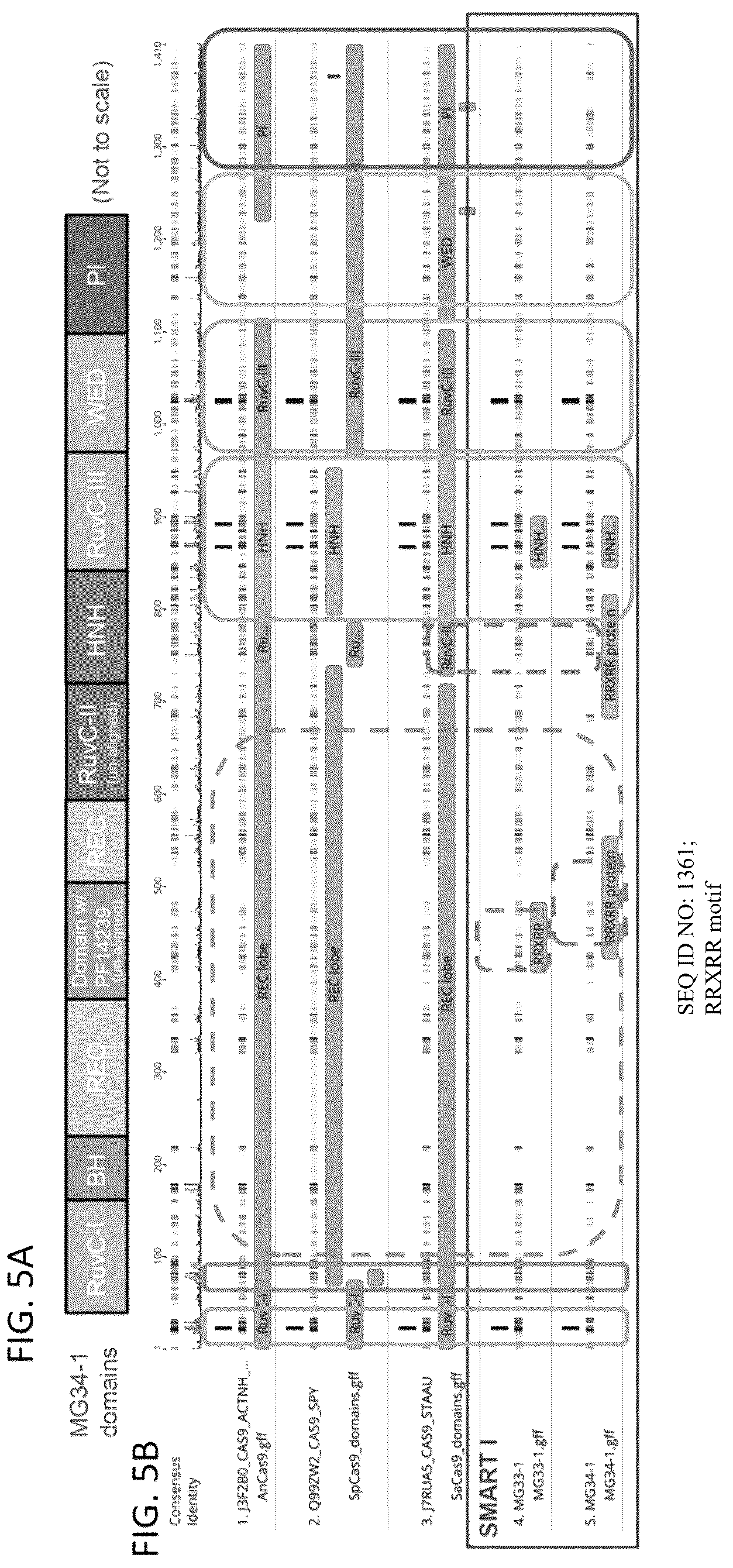 Patent US12410449 Figure 7 – Endonuclease systems