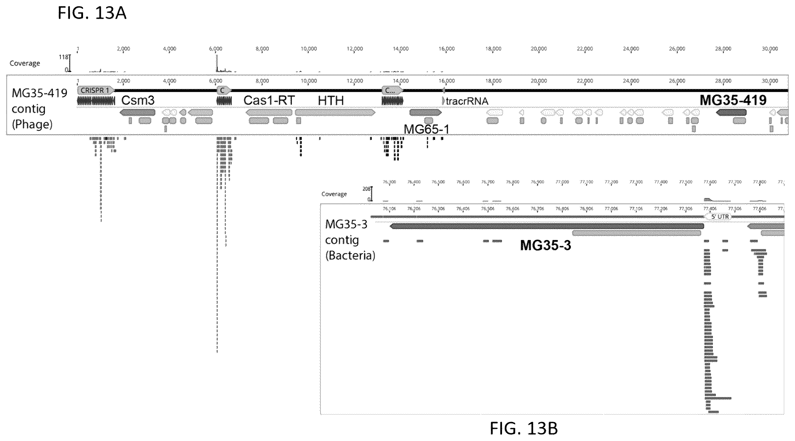 Patent US12410449 Figure 15 – Endonuclease systems