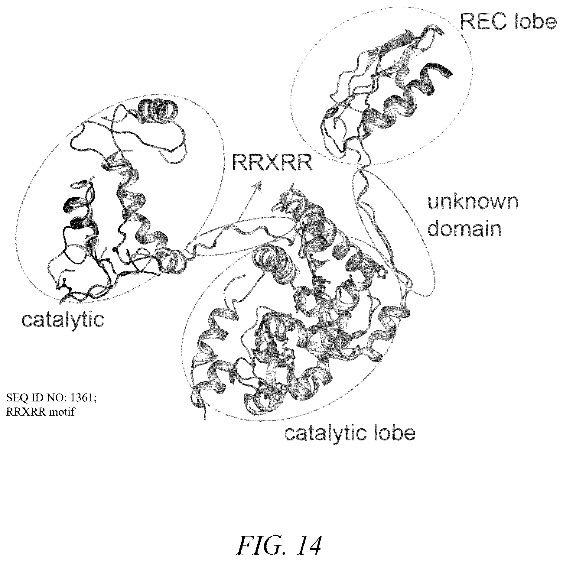 Patent US12410449 Figure 16 – Endonuclease systems