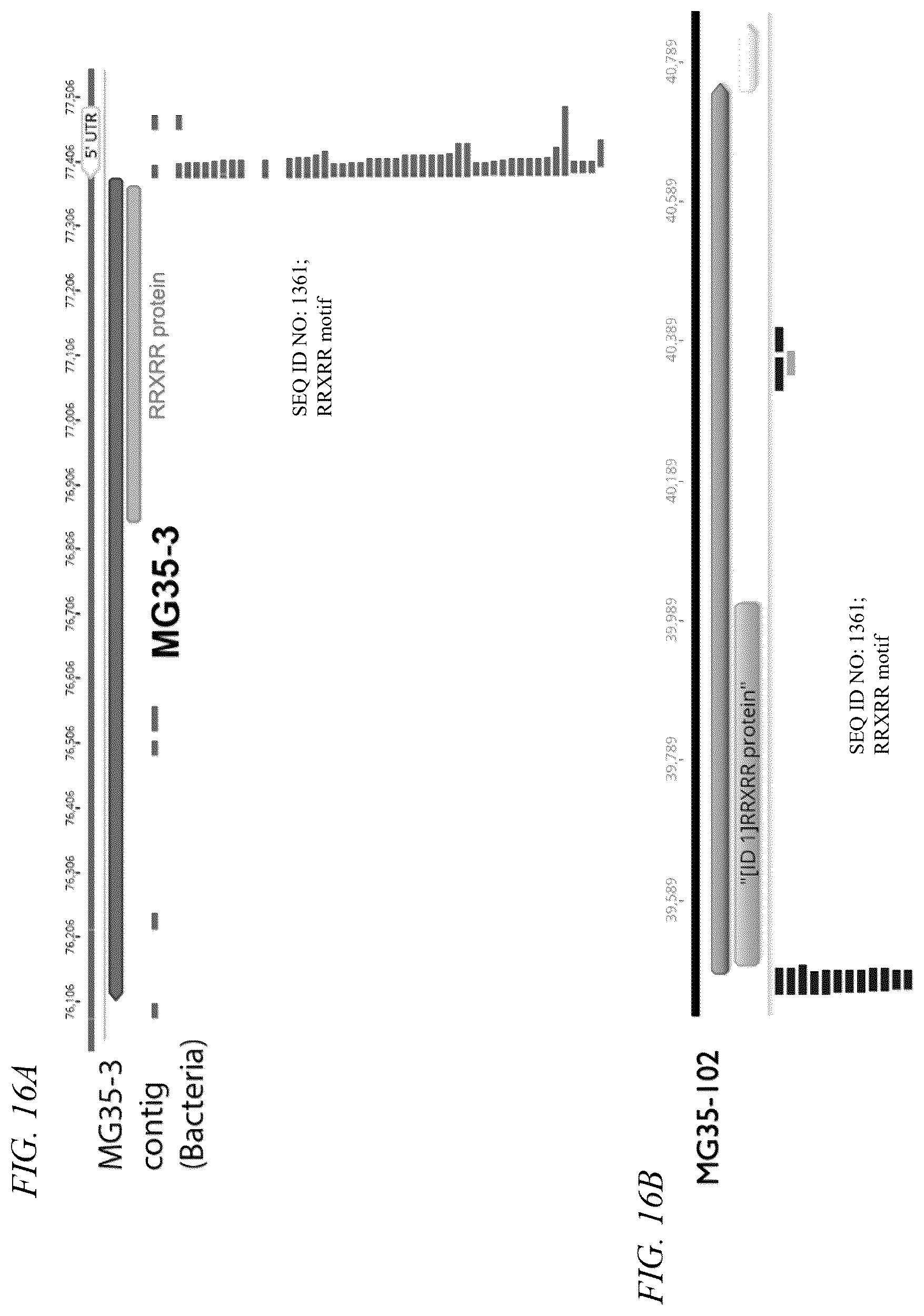 Patent US12410449 Figure 18 – Endonuclease systems