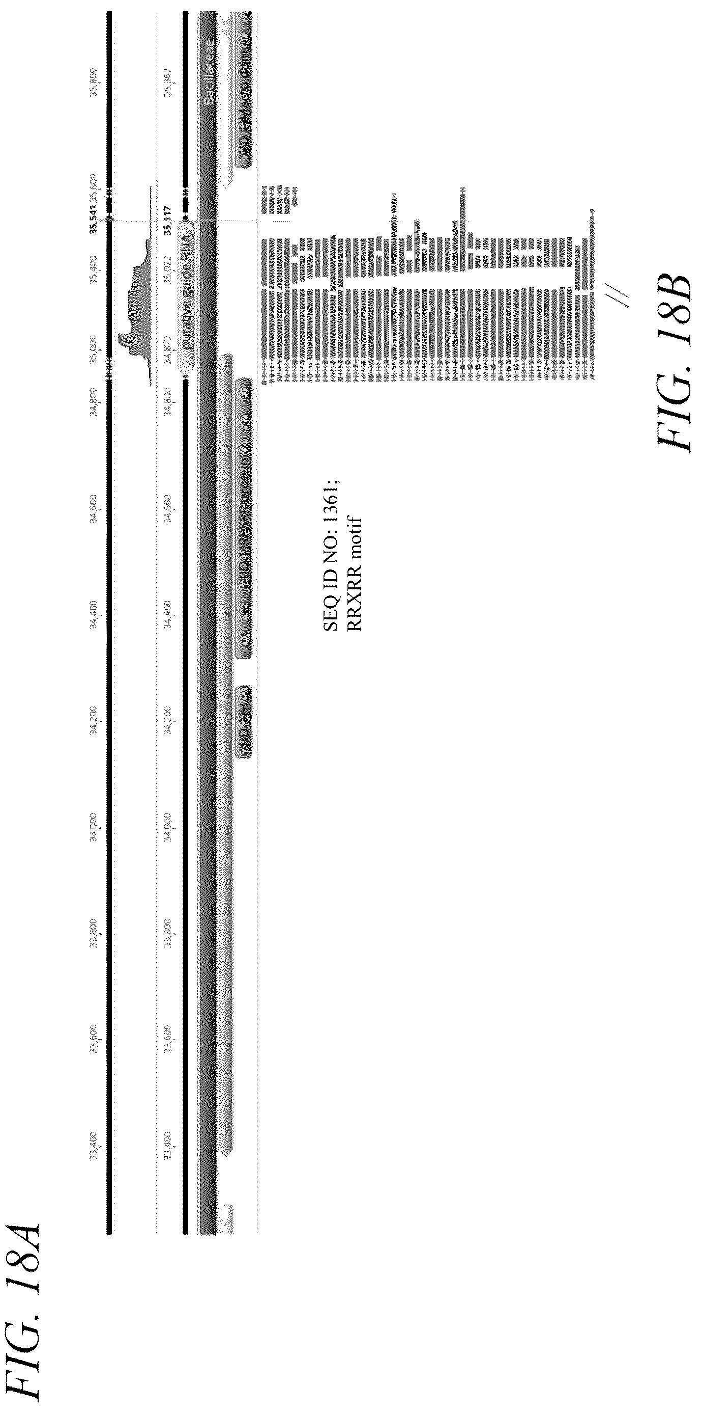 Patent US12410449 Figure 20 – Endonuclease systems