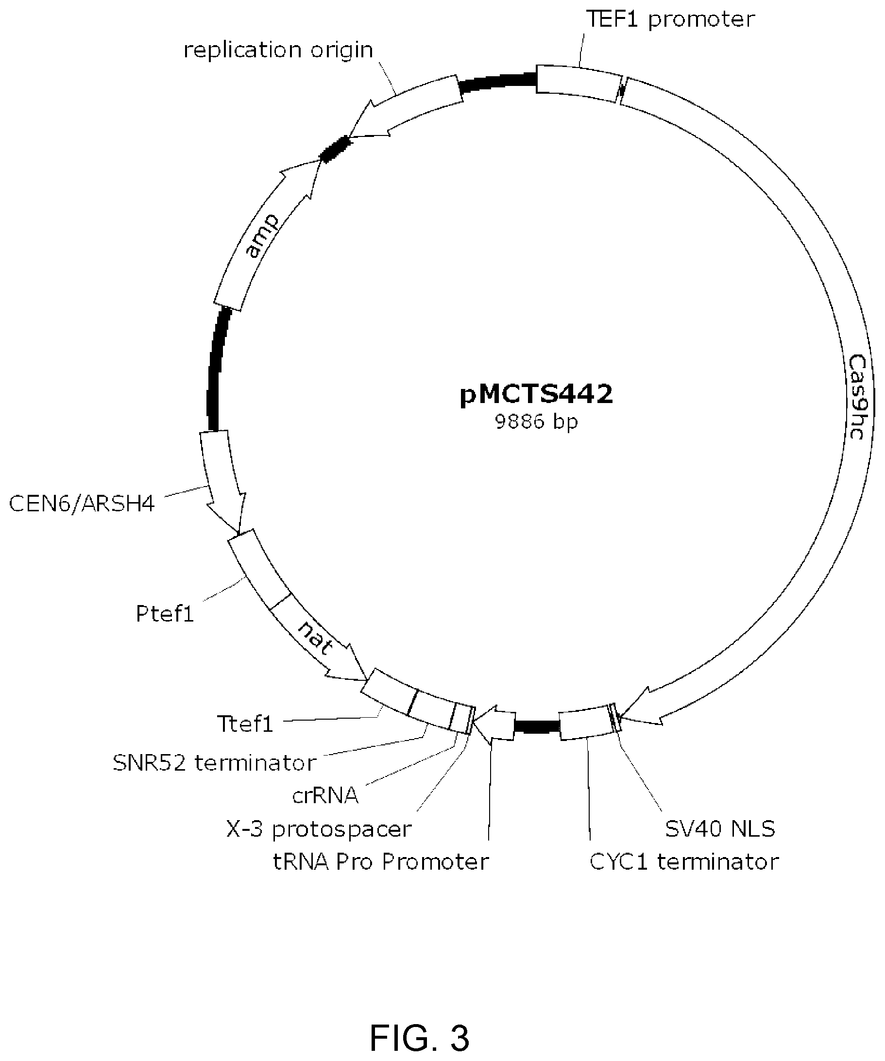 Patent US12410451 Figure 3 – Yeast expressing a heterologous trehalase for ethanol production