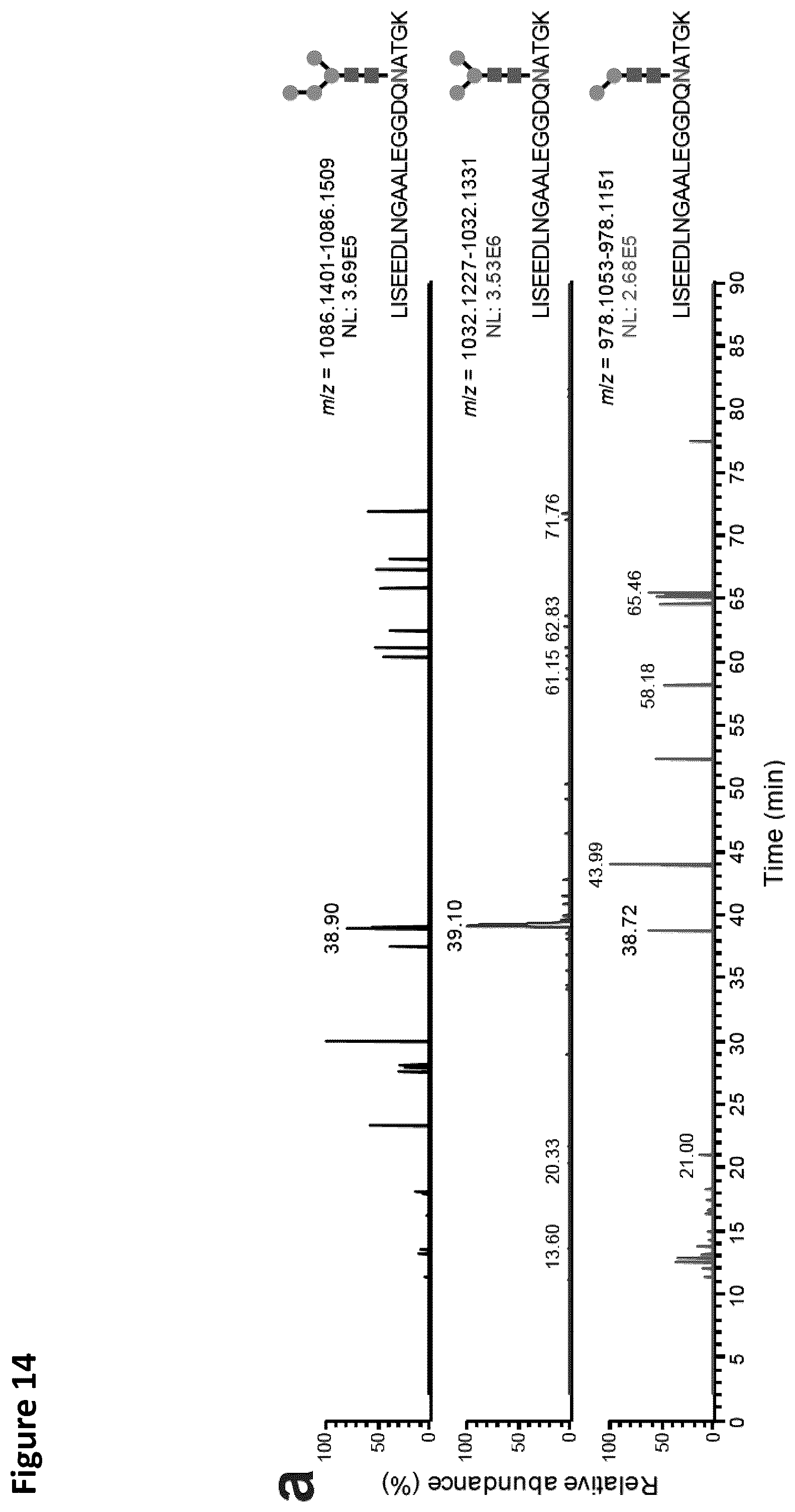 Patent US12410456 Figure 15 – Cell-free glycoprotein synthesis (CFGPS) in prokaryotic cell lysates enriched with components for glycosylation