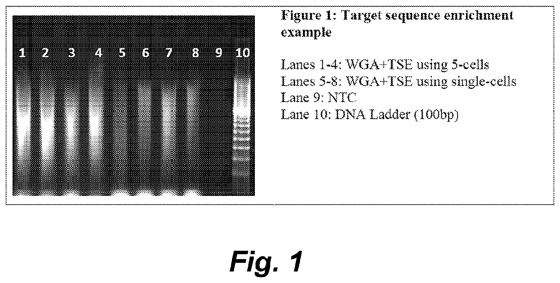 Patent US12410460 Figure 1 – Barcoding of nucleic acids