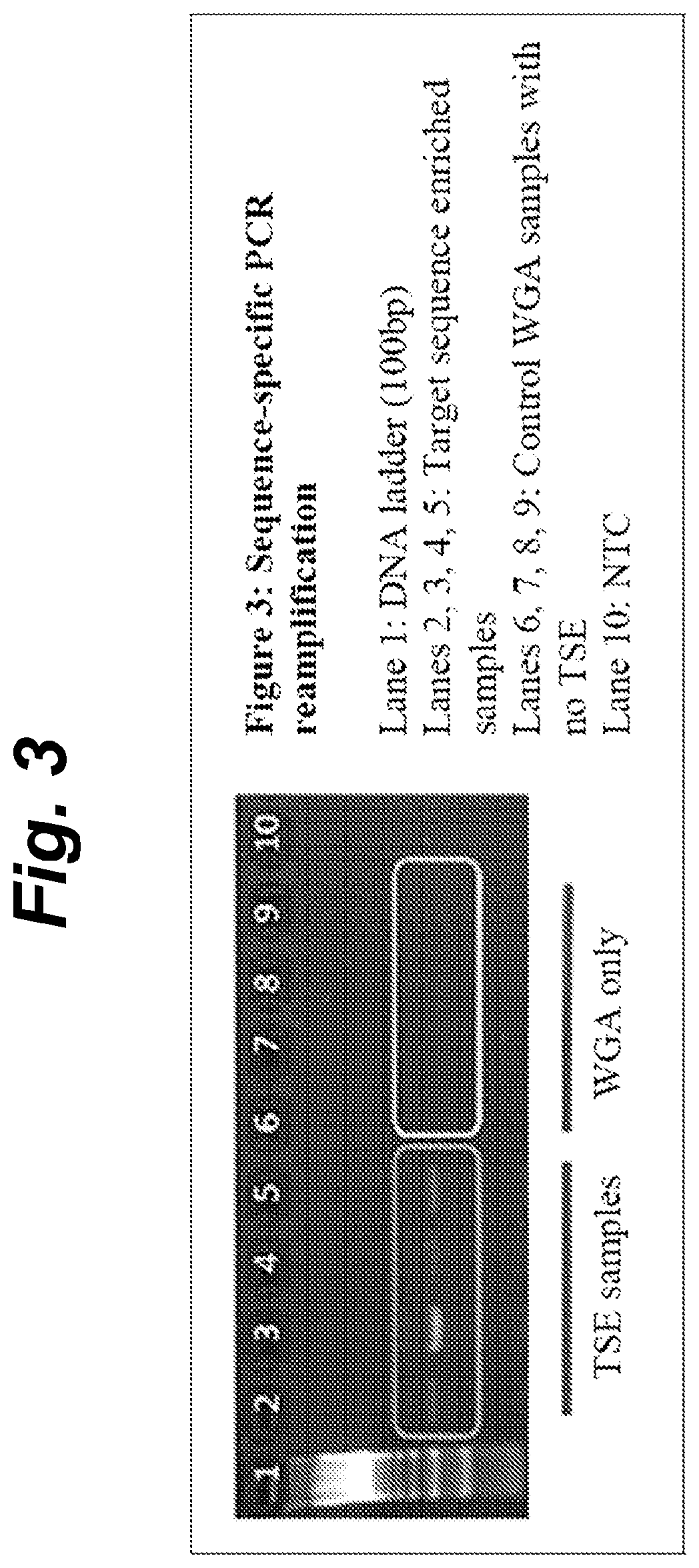 Patent US12410460 Figure 3 – Barcoding of nucleic acids