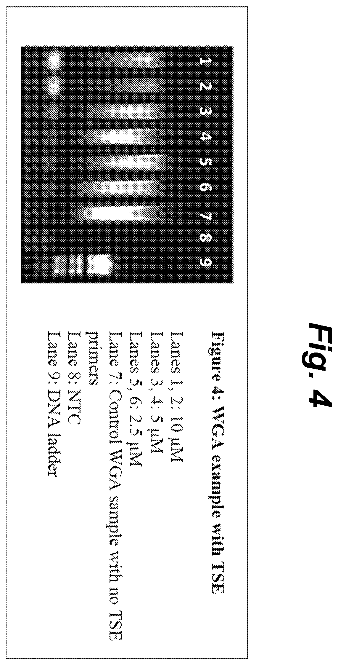 Patent US12410460 Figure 4 – Barcoding of nucleic acids