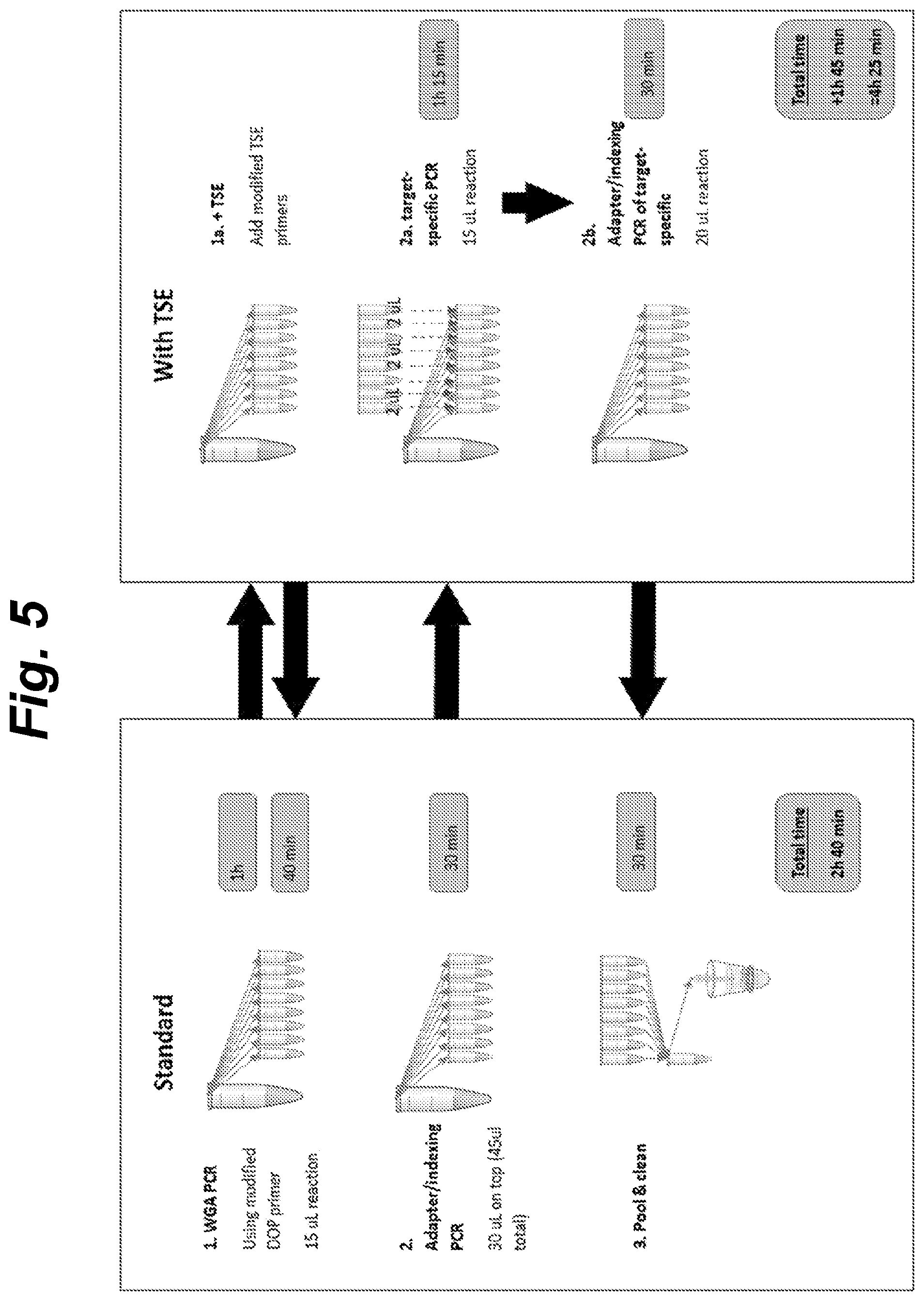 Patent US12410460 Figure 5 – Barcoding of nucleic acids