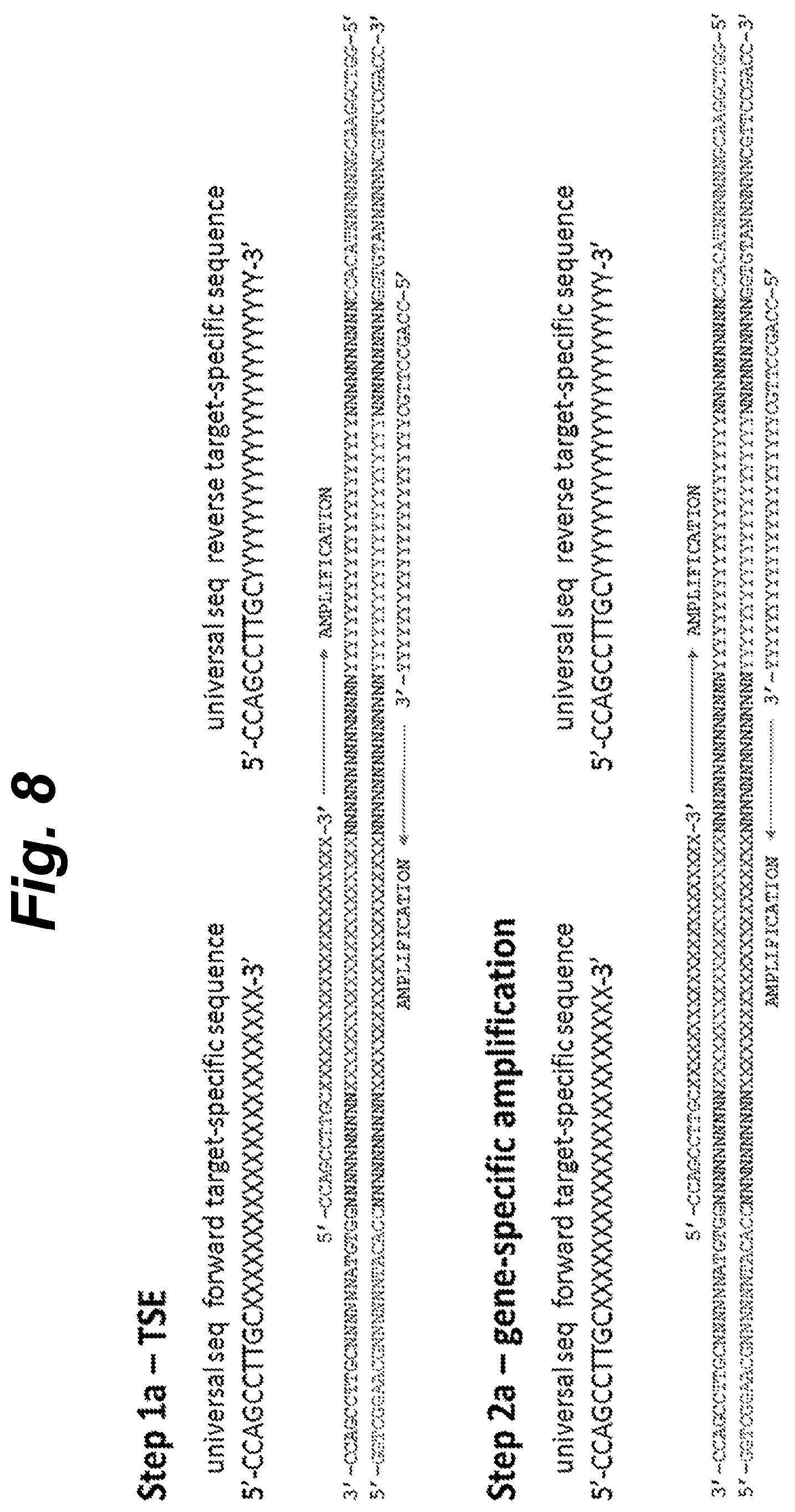 Patent US12410460 Figure 8 – Barcoding of nucleic acids