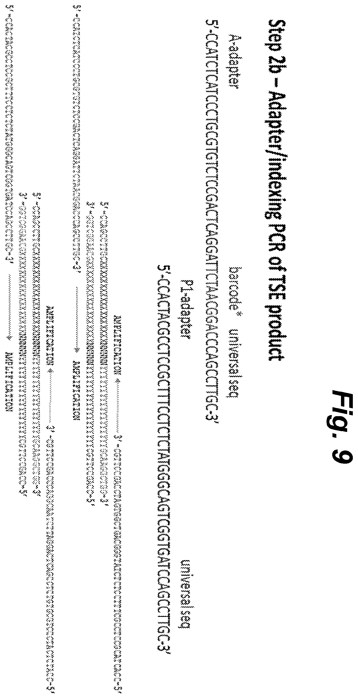 Patent US12410460 Figure 9 – Barcoding of nucleic acids