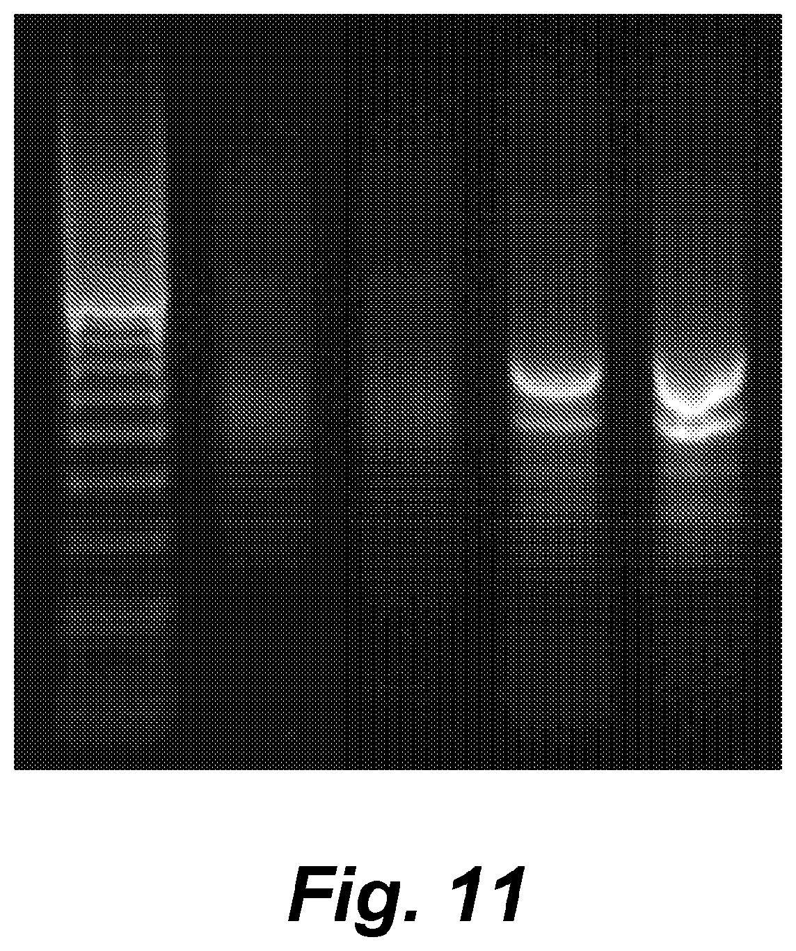 Patent US12410460 Figure 11 – Barcoding of nucleic acids