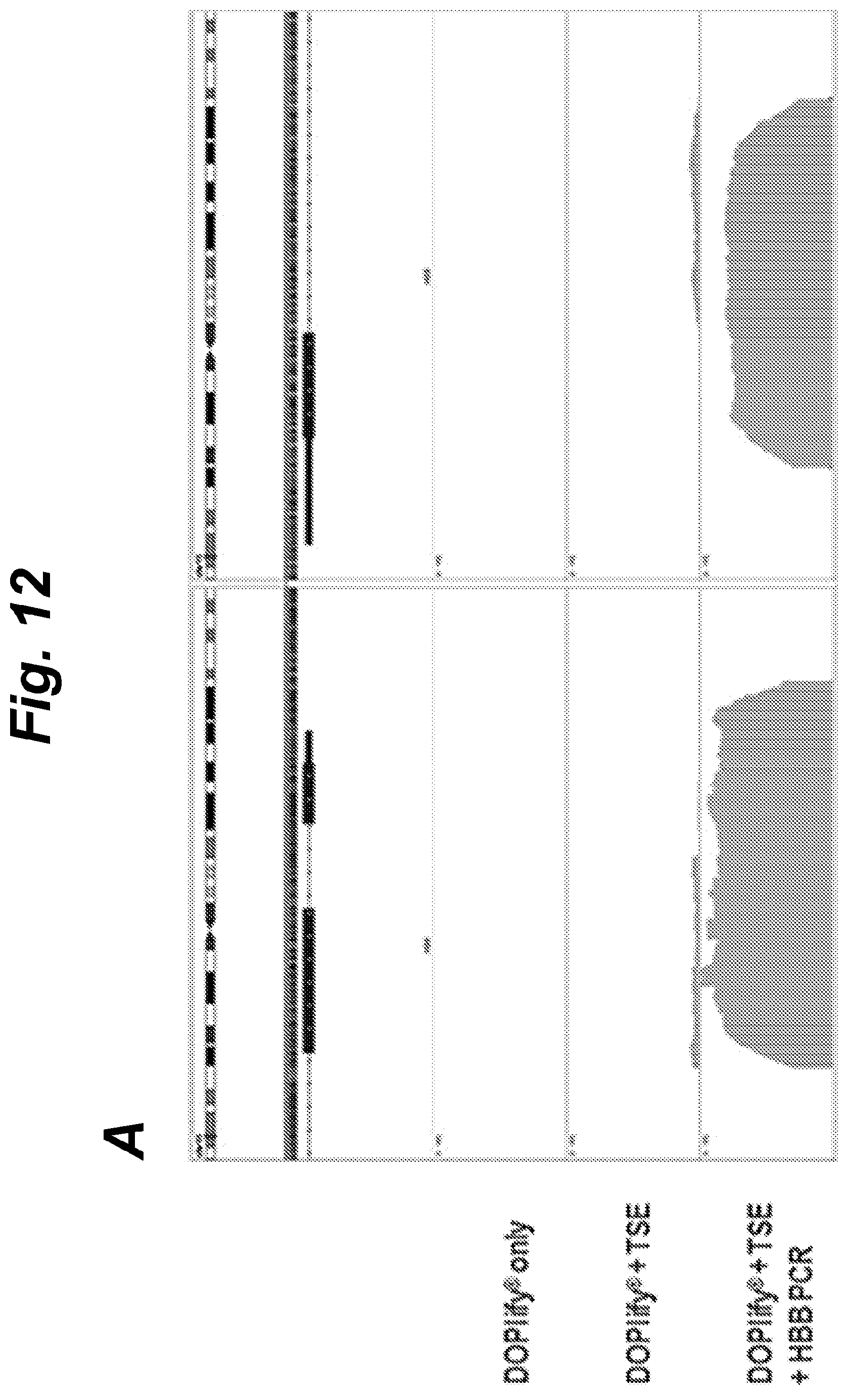 Patent US12410460 Figure 12 – Barcoding of nucleic acids