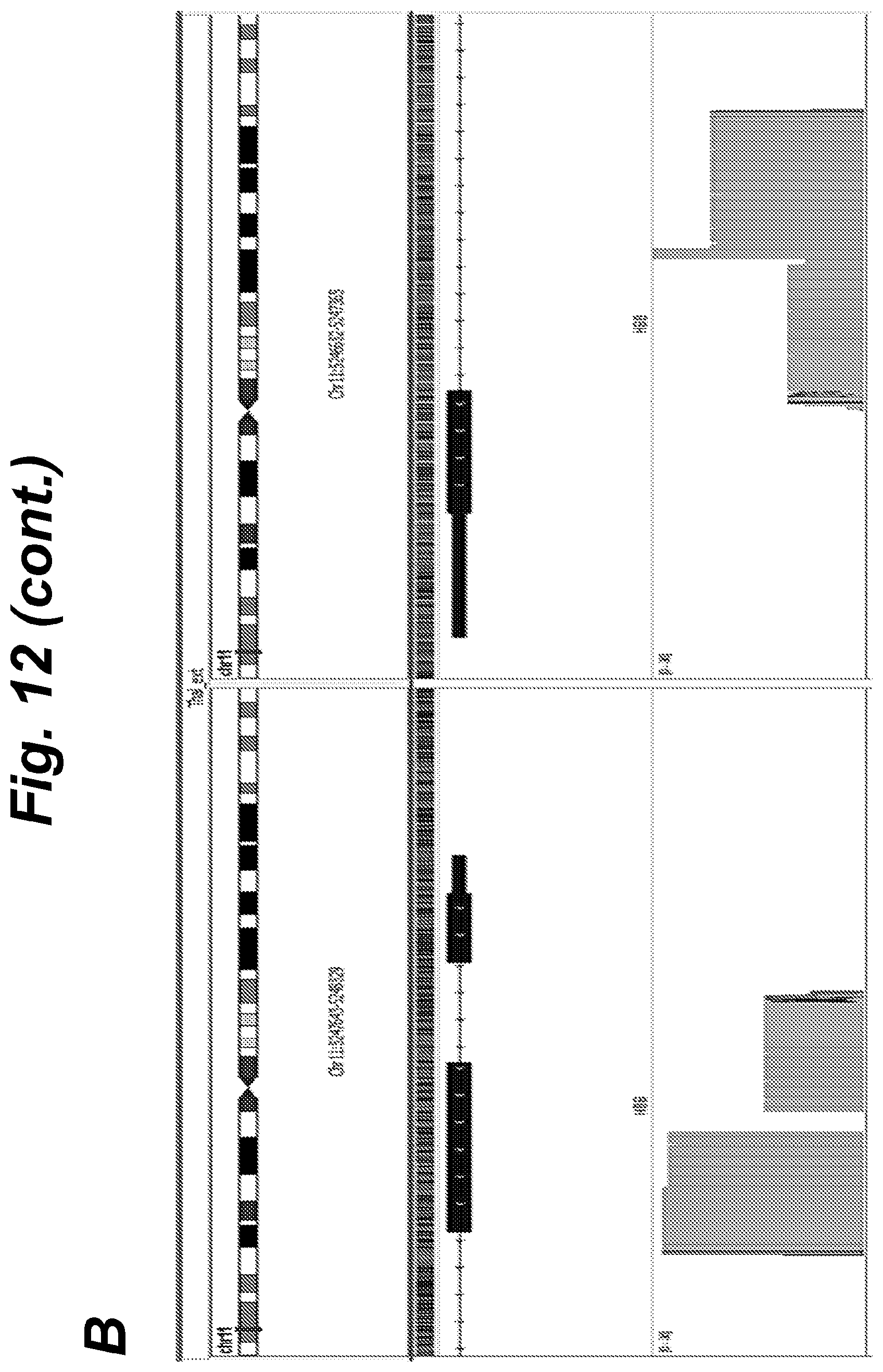 Patent US12410460 Figure 13 – Barcoding of nucleic acids