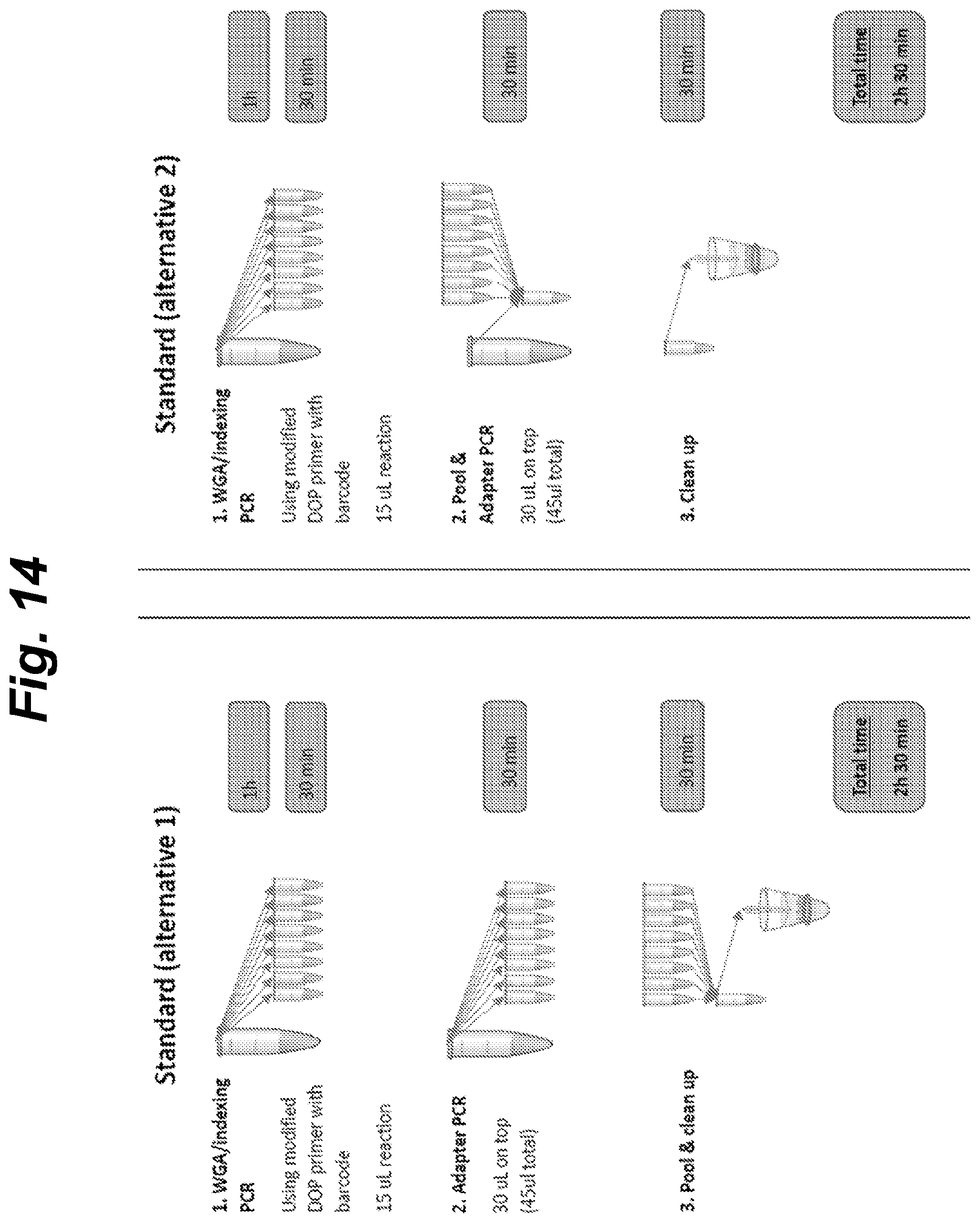 Patent US12410460 Figure 16 – Barcoding of nucleic acids