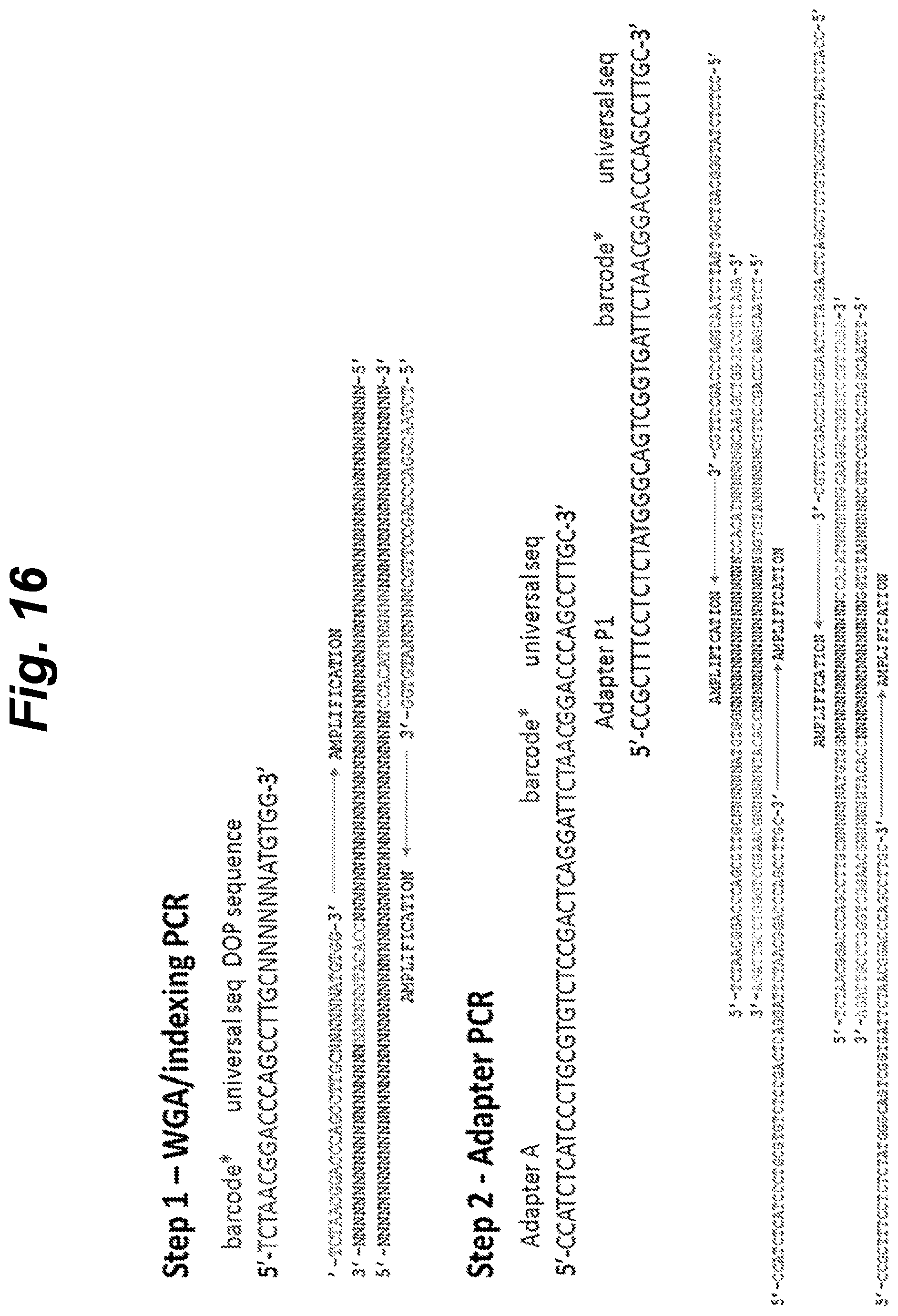 Patent US12410460 Figure 18 – Barcoding of nucleic acids