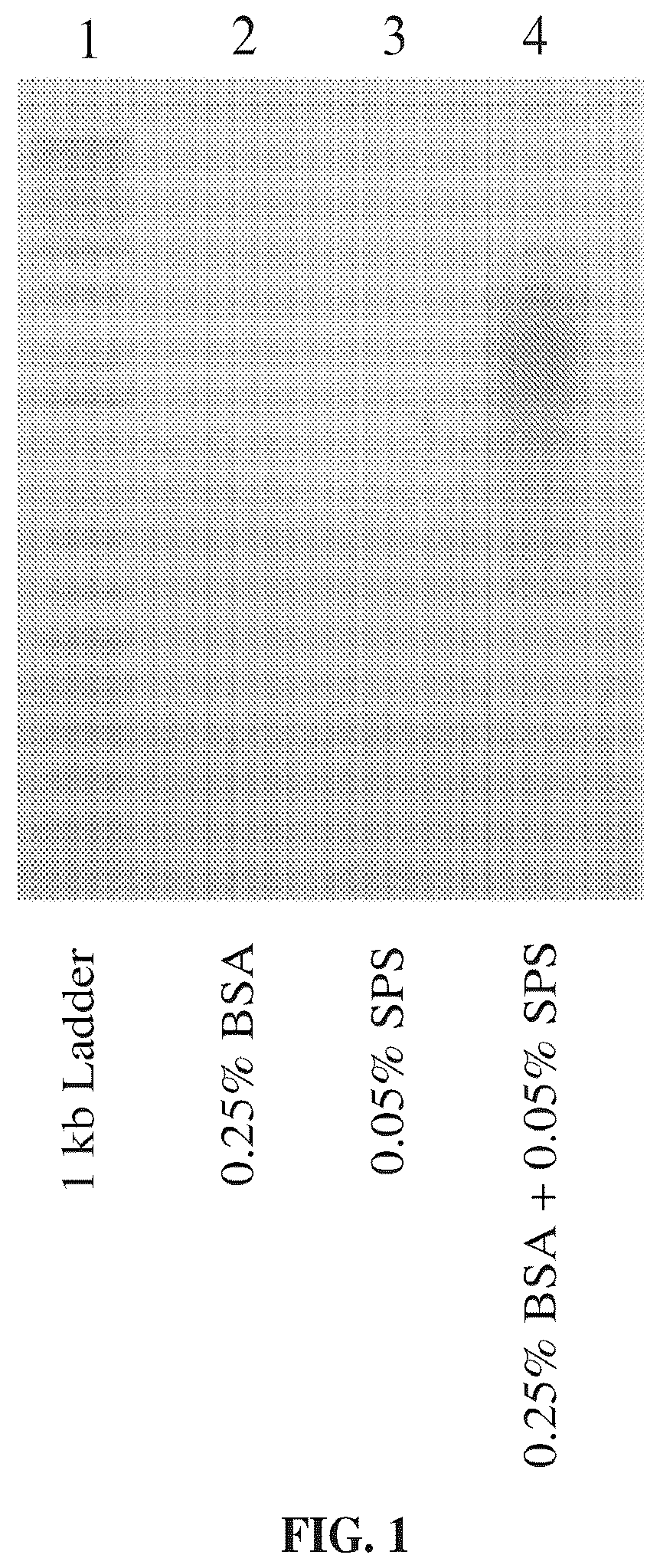 Patent US12410461 Figure 1 – Method of preparing clinical samples for nucleic acid amplification