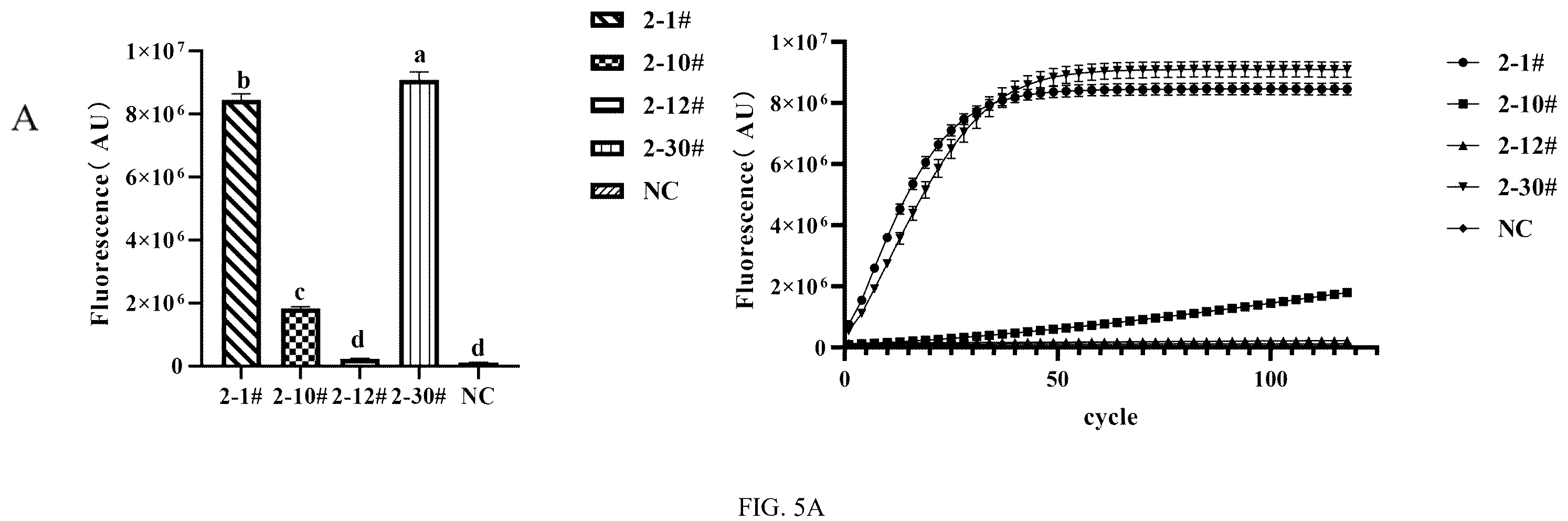 Patent US12410462 Figure 3 – Method for detecting bi-allelic gene edited cells based on CRISPR/Cas12a technology