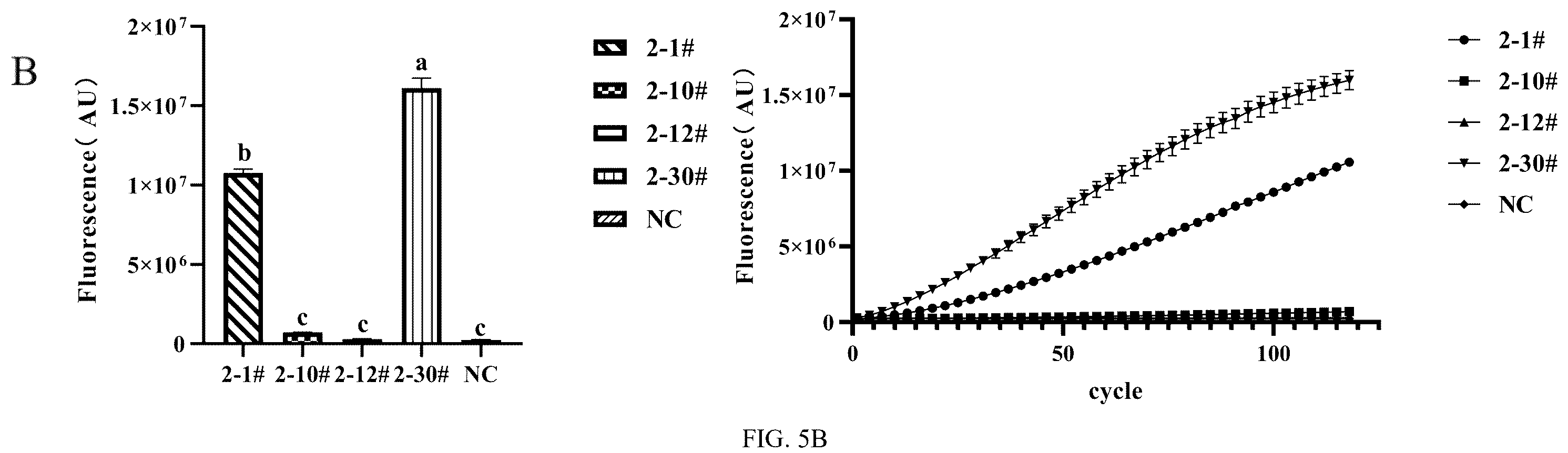 Patent US12410462 Figure 4 – Method for detecting bi-allelic gene edited cells based on CRISPR/Cas12a technology