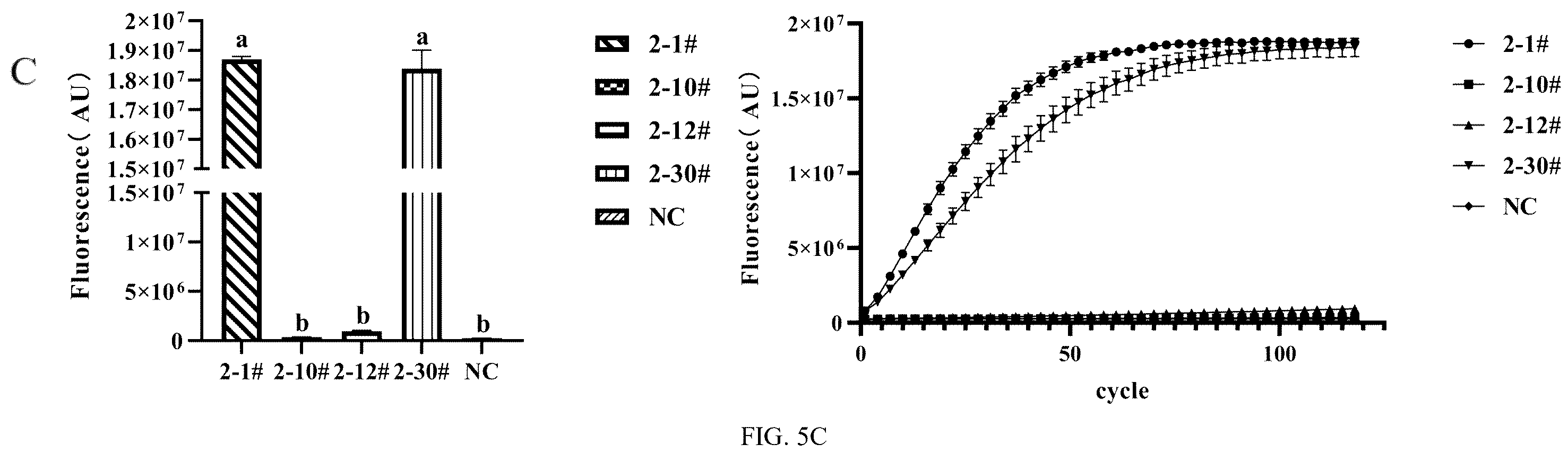 Patent US12410462 Figure 5 – Method for detecting bi-allelic gene edited cells based on CRISPR/Cas12a technology