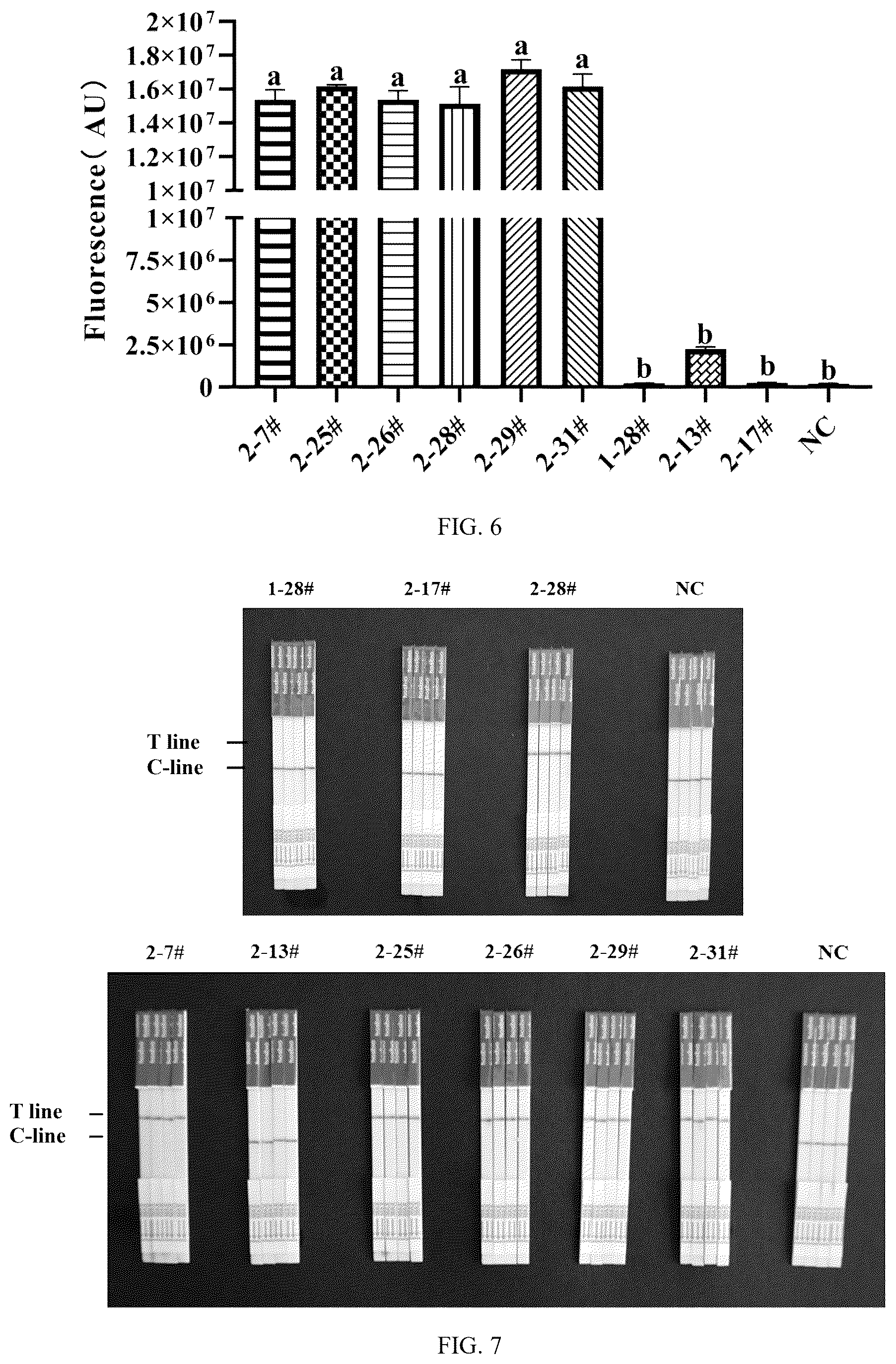 Patent US12410462 Figure 6 – Method for detecting bi-allelic gene edited cells based on CRISPR/Cas12a technology