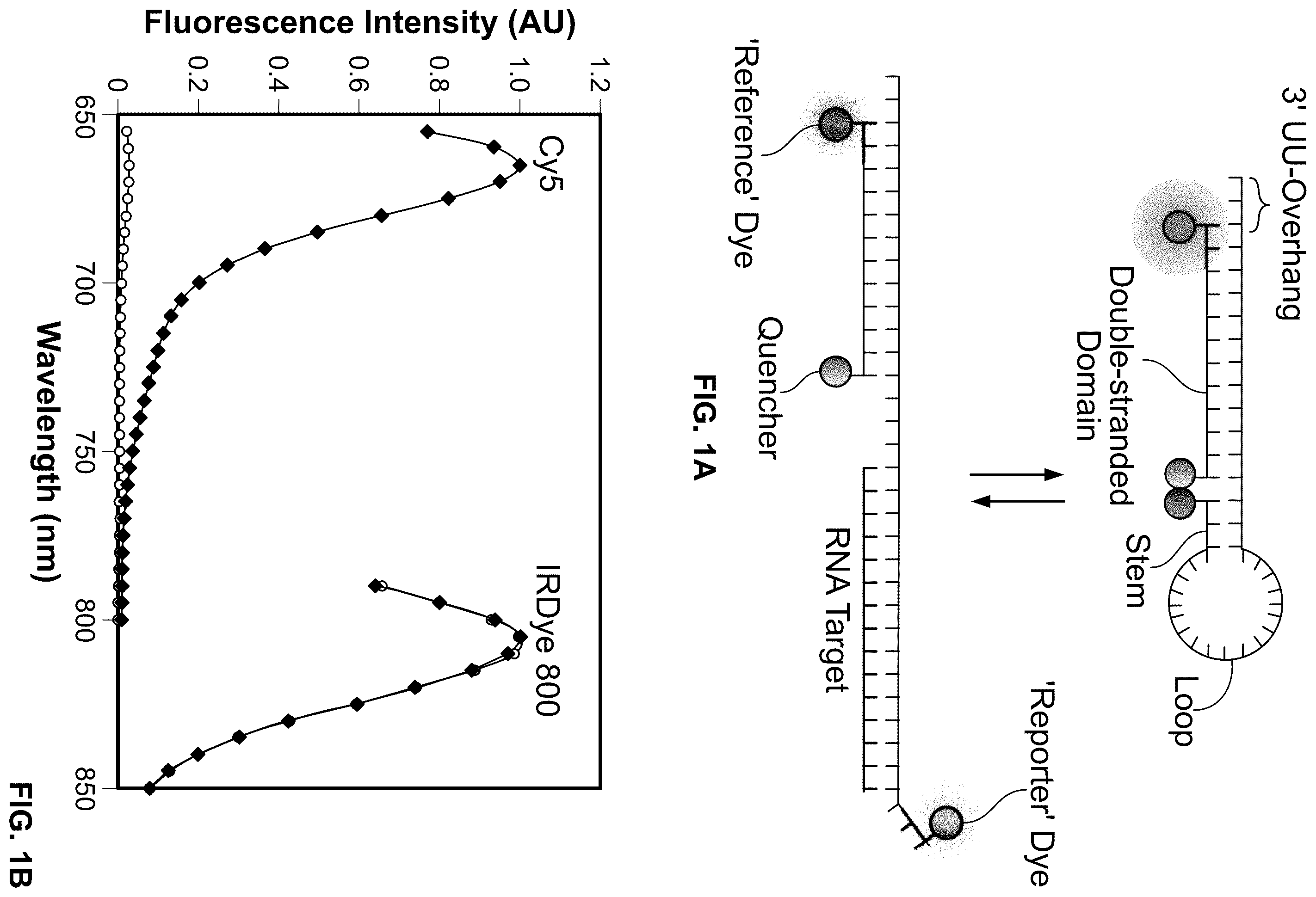 Patent US12410463 Figure 1 – Molecular beacons