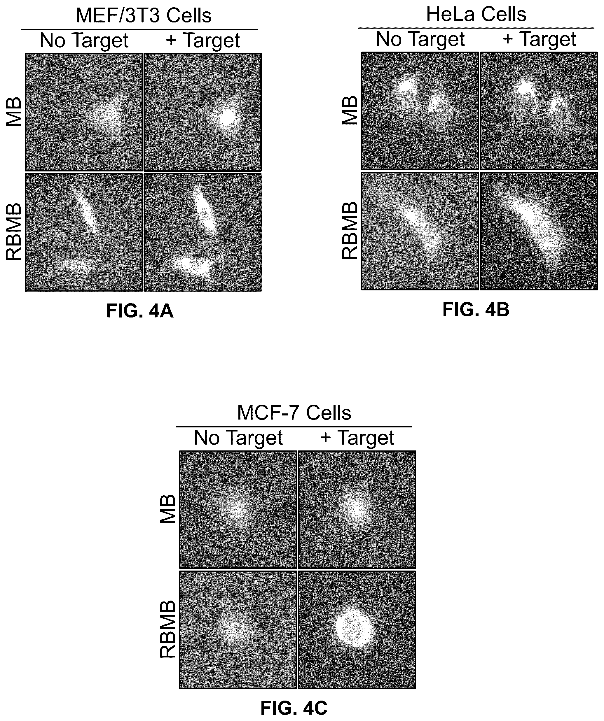 Patent US12410463 Figure 4 – Molecular beacons