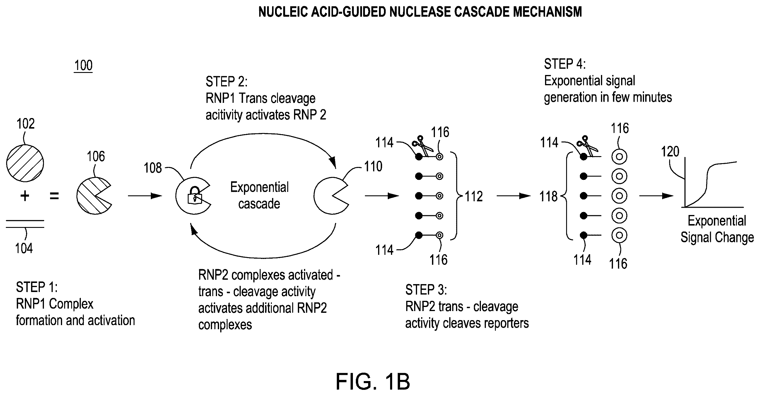 Patent US12410464 Figure 2 – Detection assays