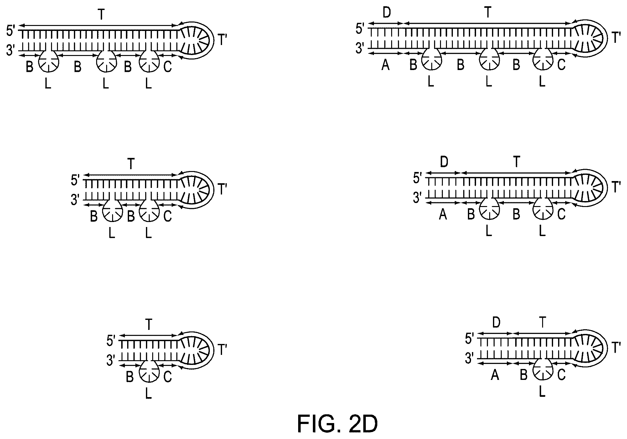 Patent US12410464 Figure 6 – Detection assays