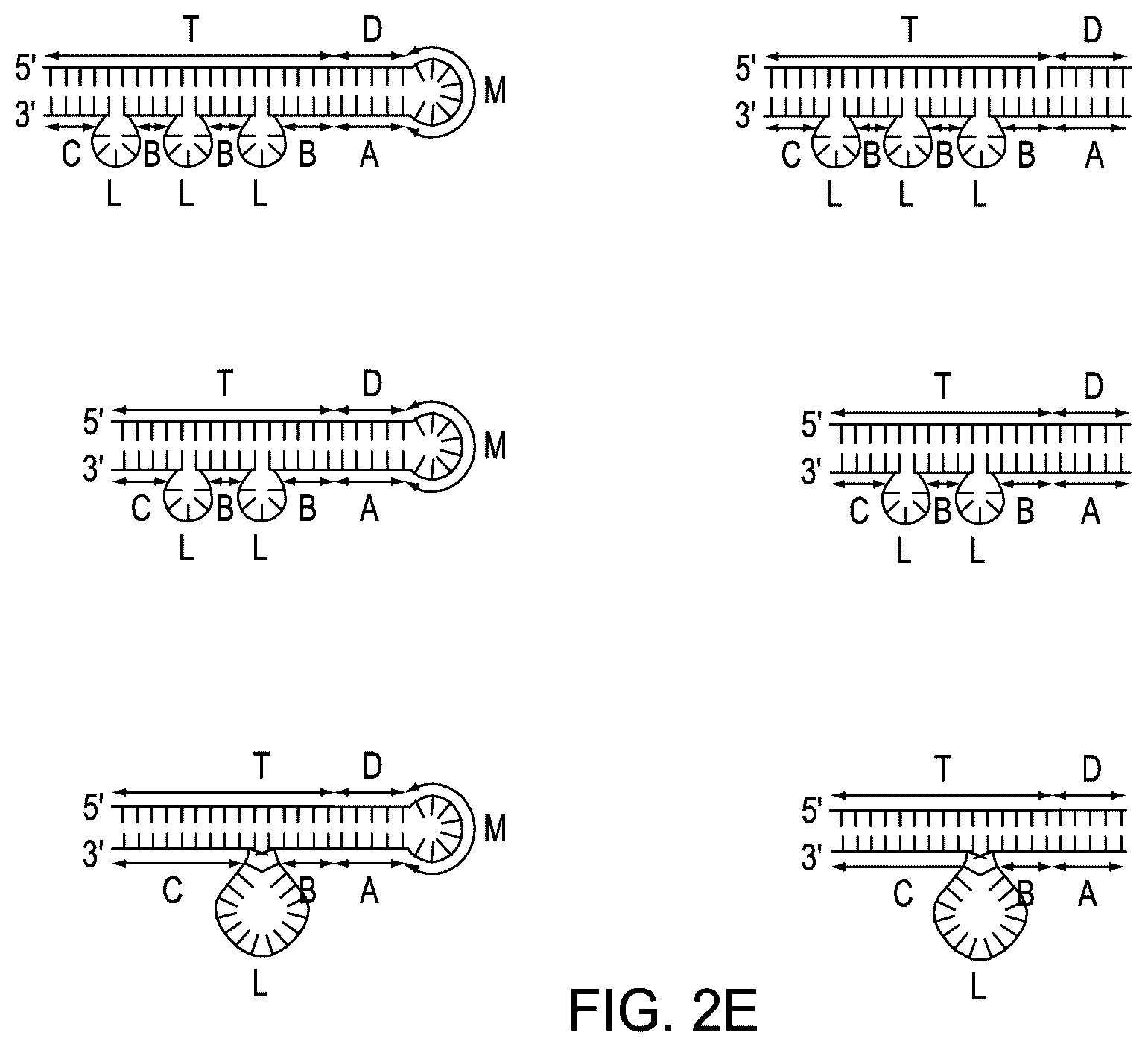 Patent US12410464 Figure 7 – Detection assays