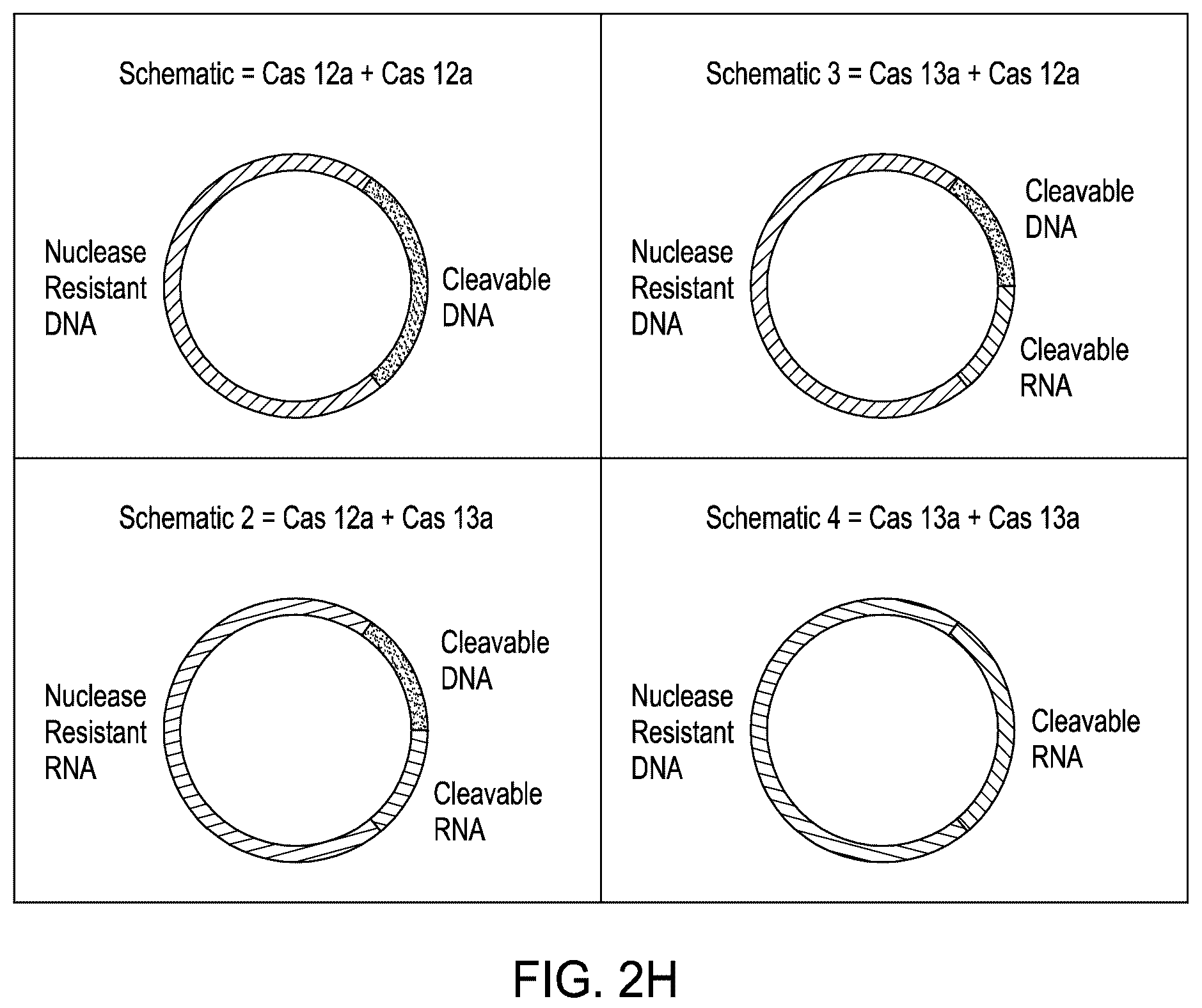 Patent US12410464 Figure 10 – Detection assays