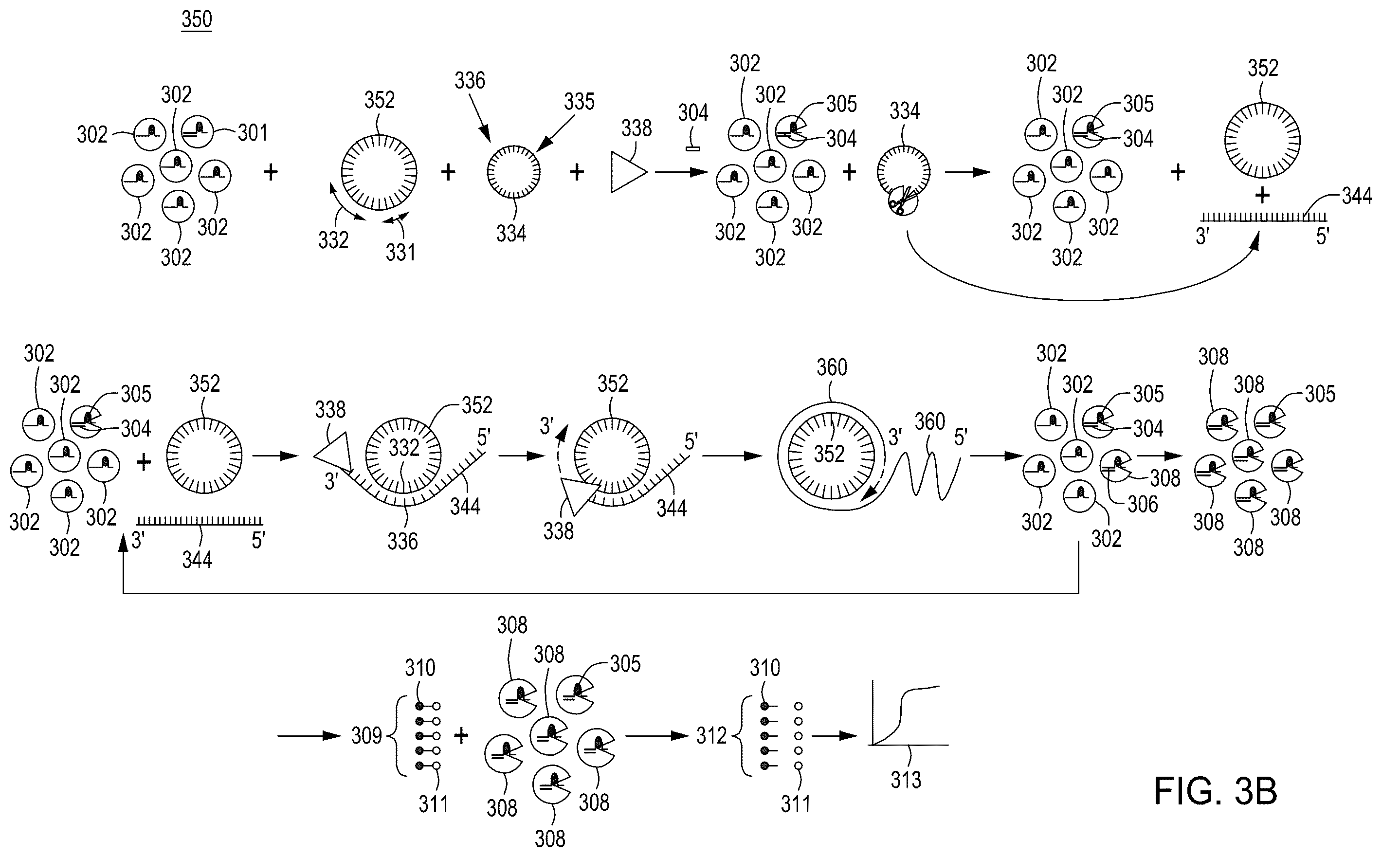Patent US12410464 Figure 12 – Detection assays